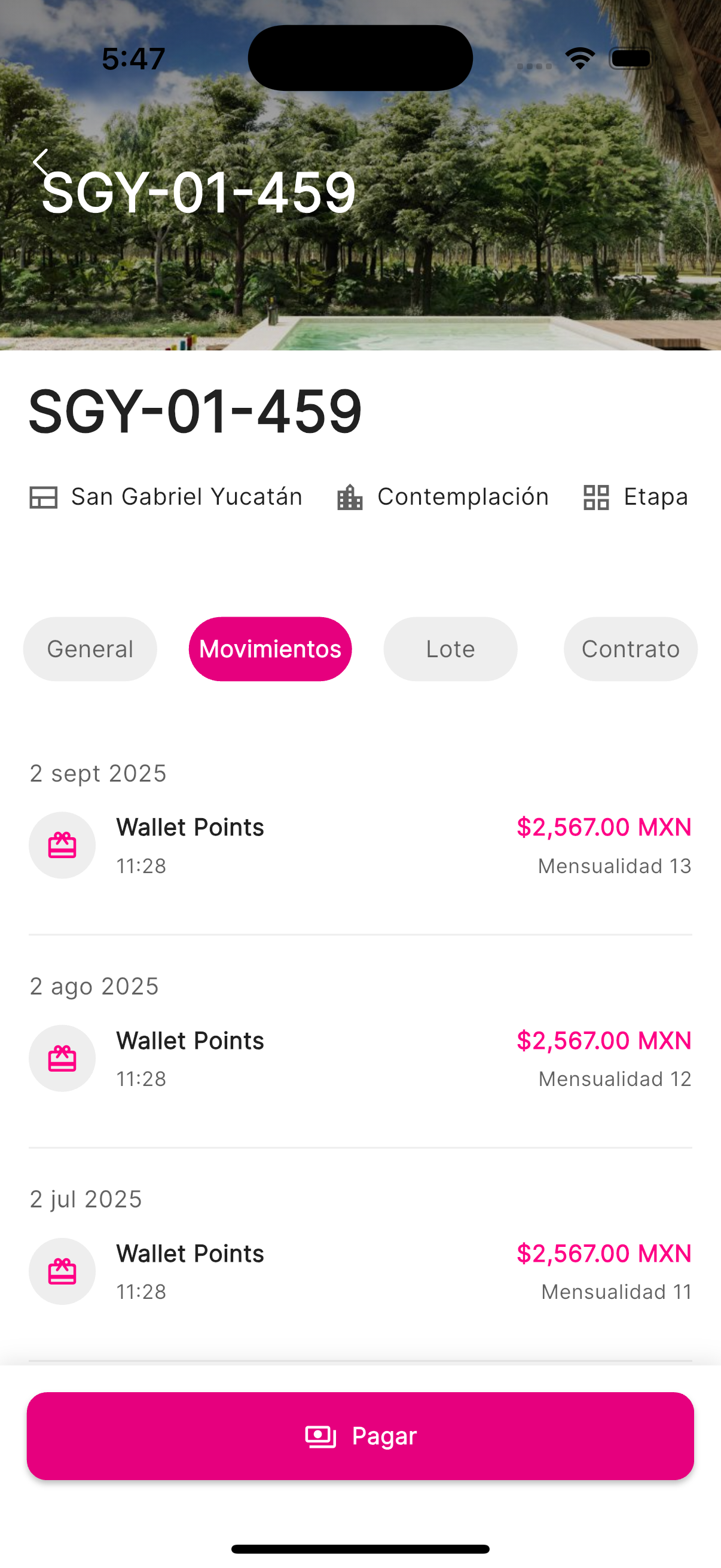 Vista de movimientos del lote mostrando historial de pagos