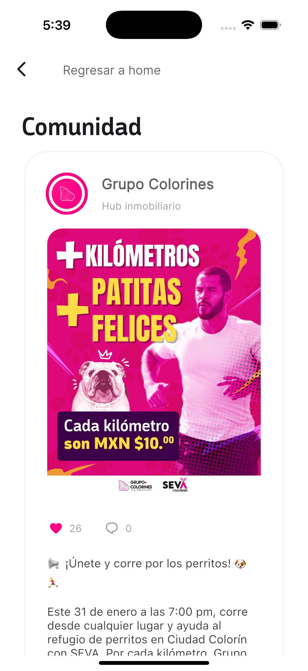 Pantalla completa de noticias con opciones de interacción