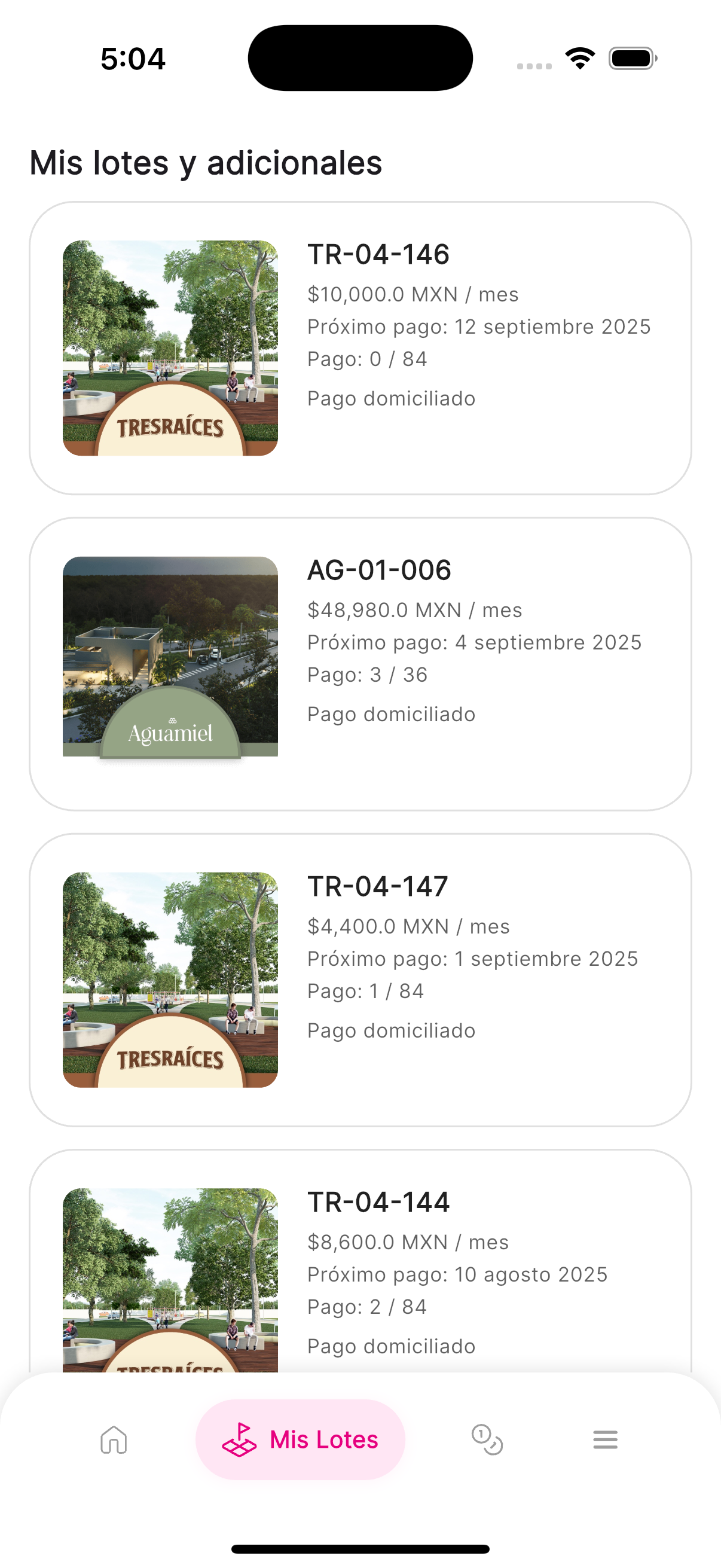 Vista de pagos vencidos en la sección de lotes