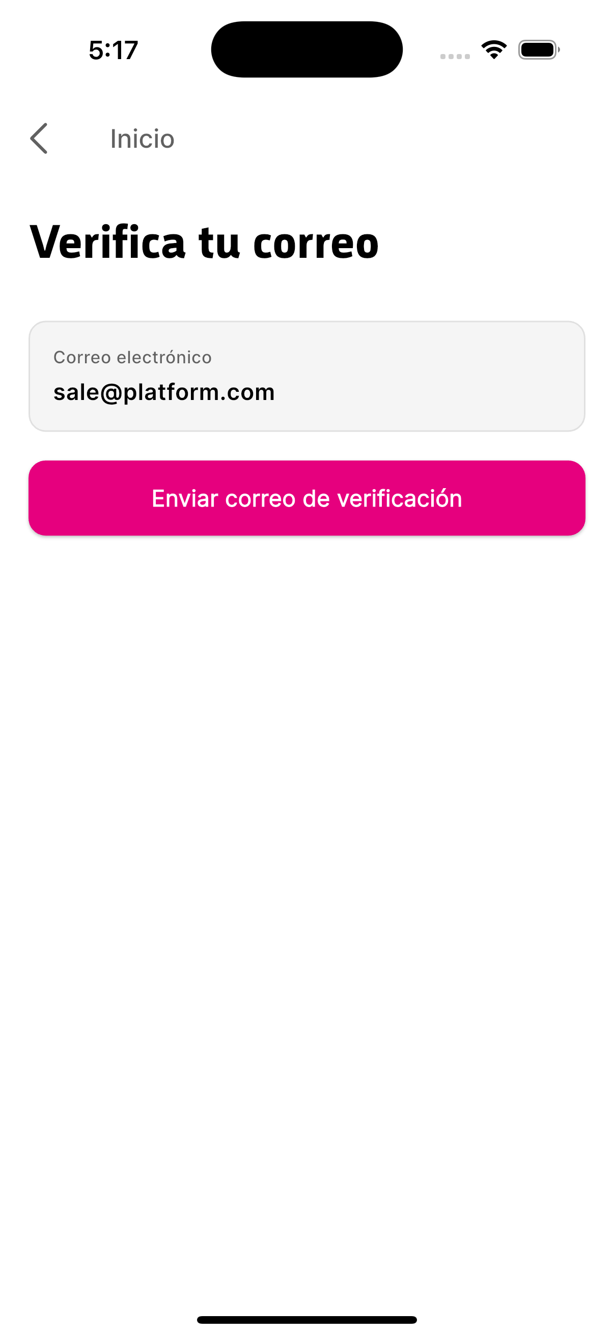 Pantalla para enviar enlace de verificación por correo