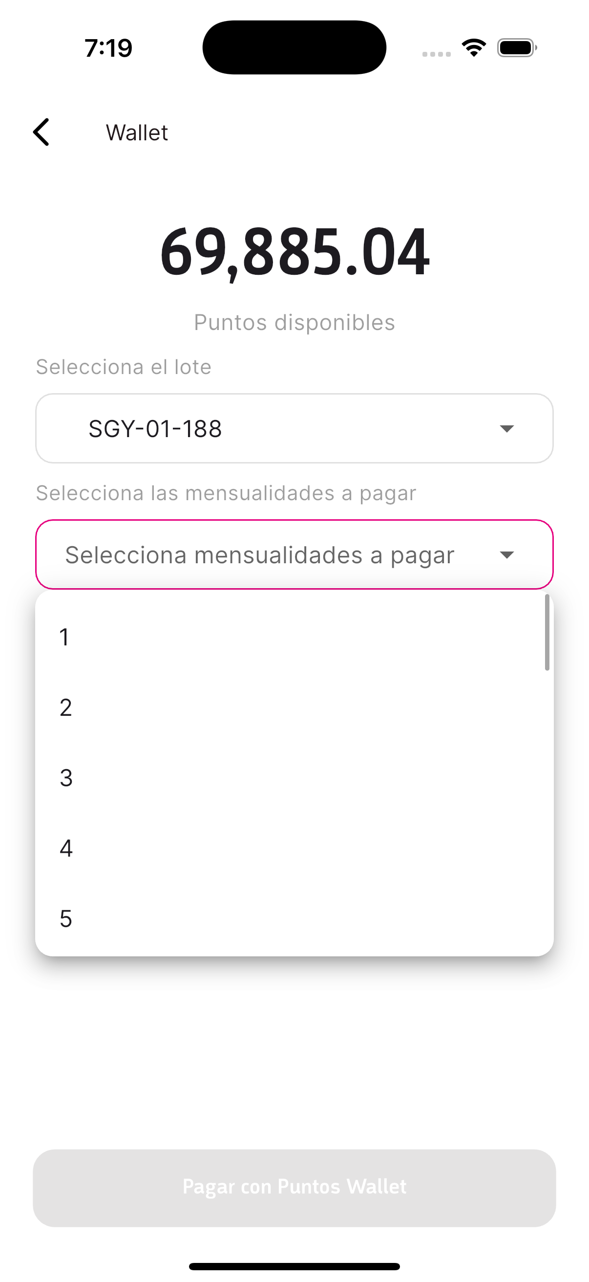 Pantalla para seleccionar mensualidades a pagar con puntos