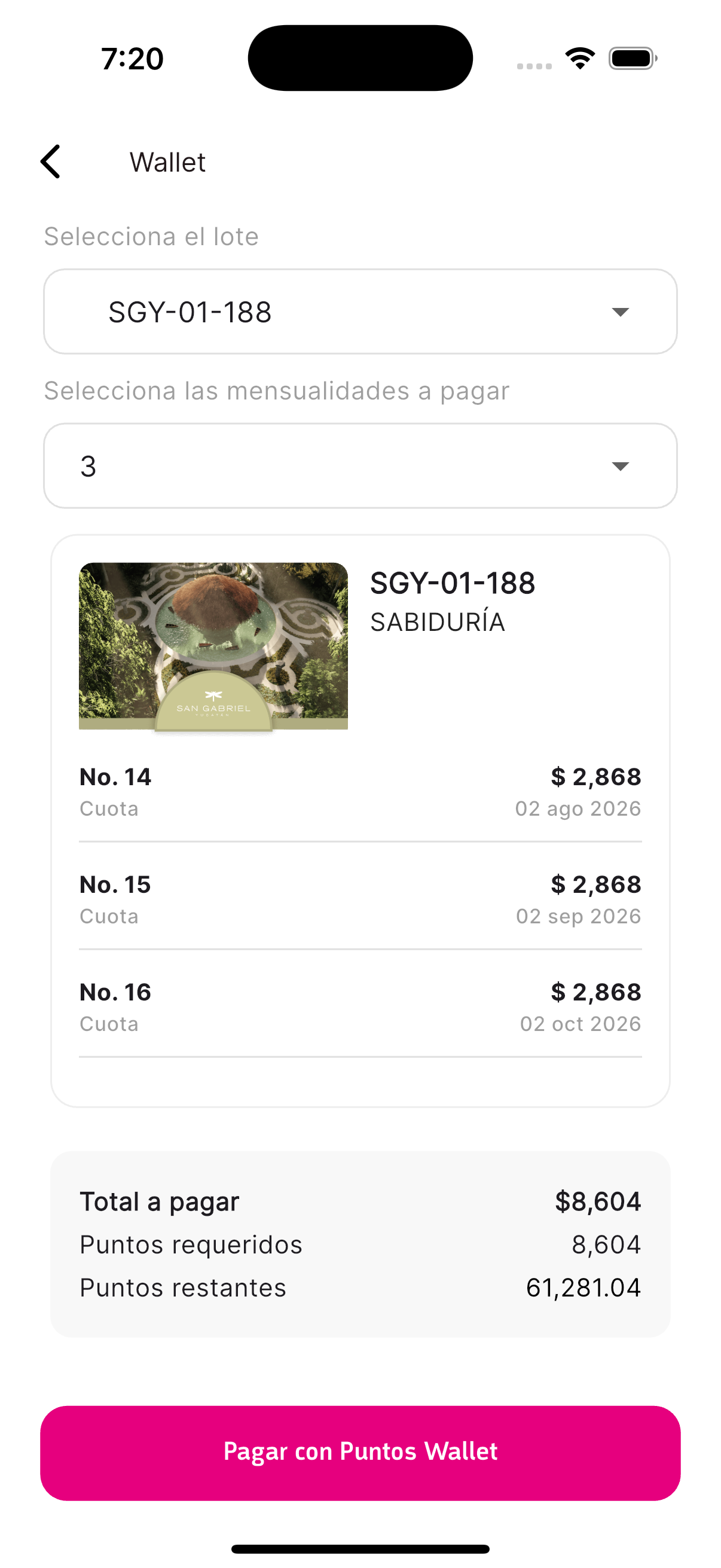 Pantalla de resumen y confirmación de pago con puntos