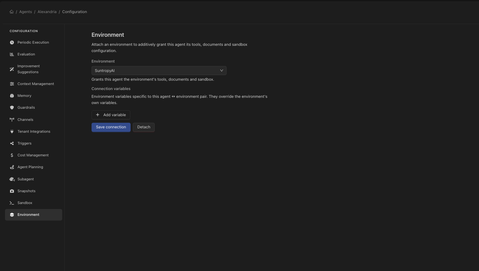 The environment section of an agent