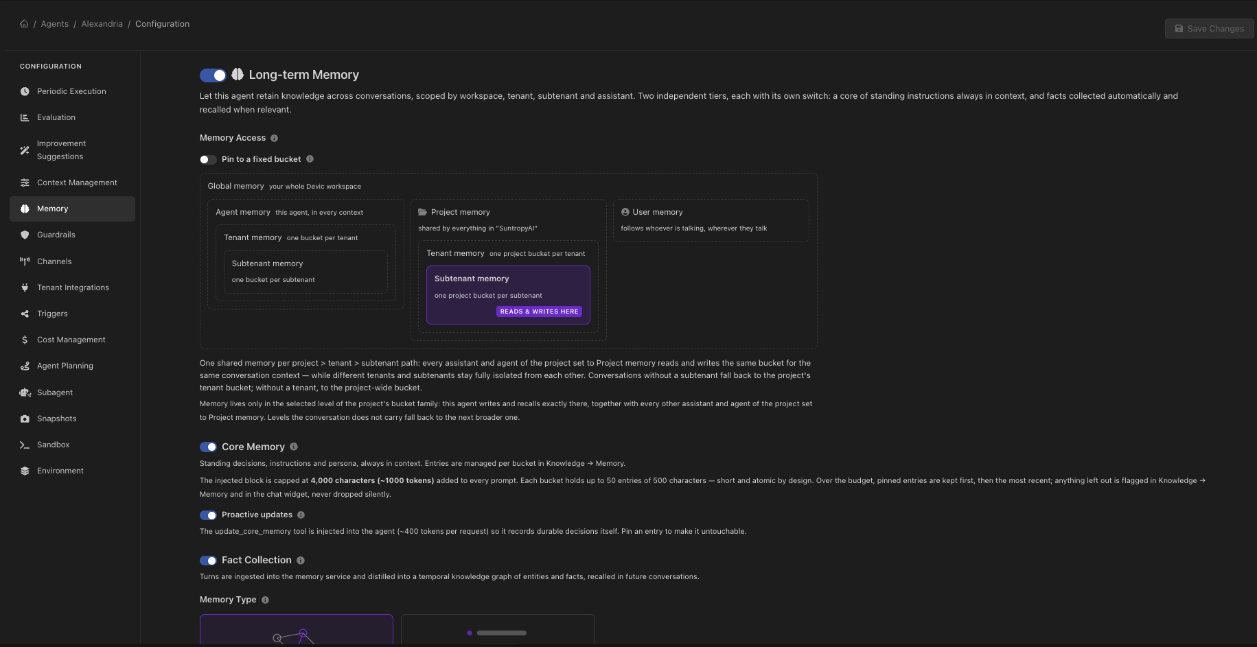 Agent memory settings