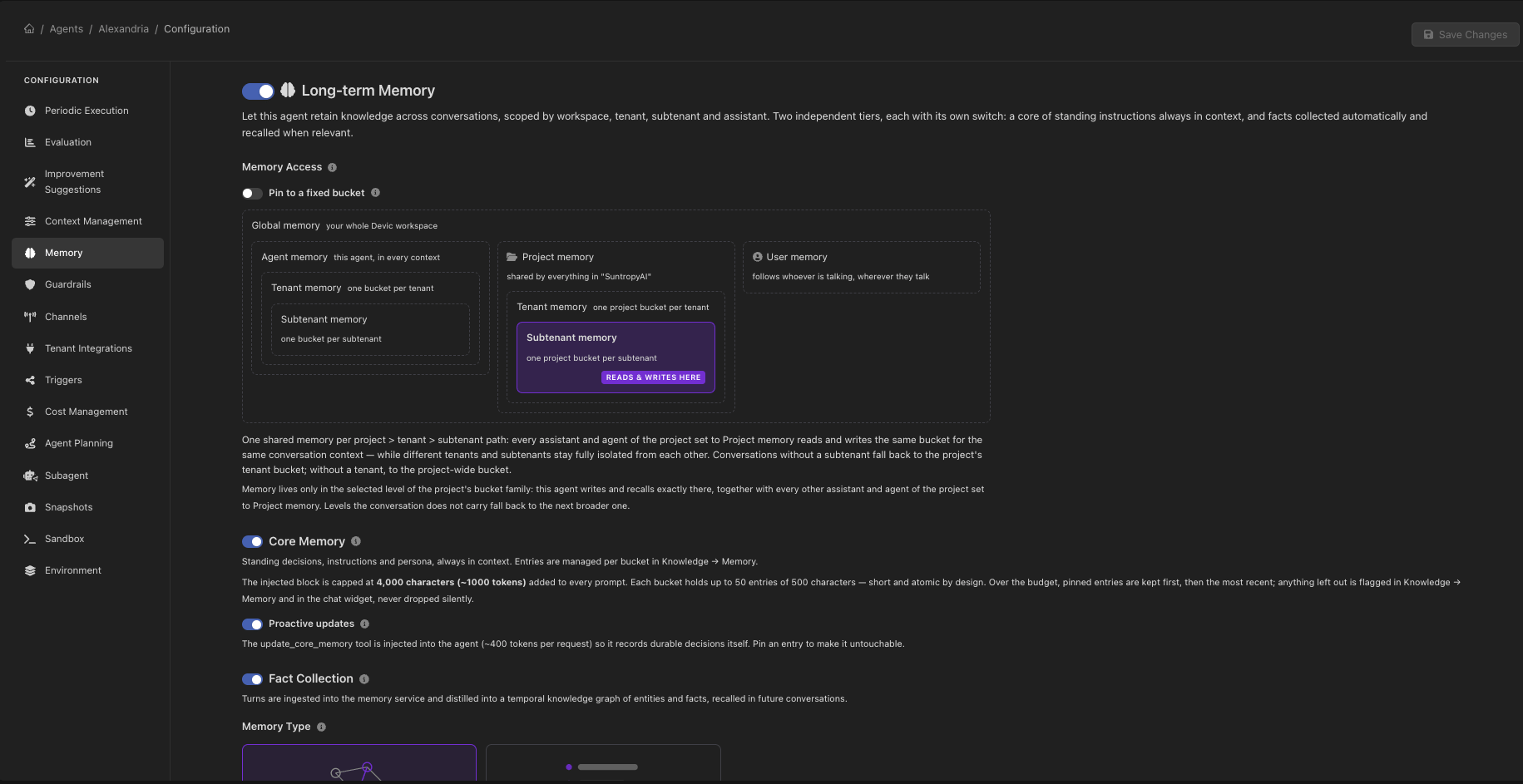 Agent memory settings