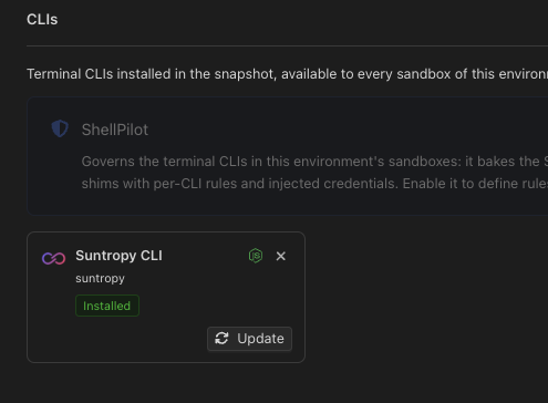 CLIs of an environment