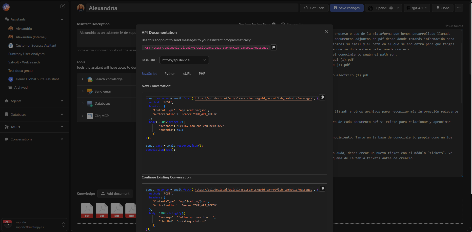 Vista del panel API del asistente