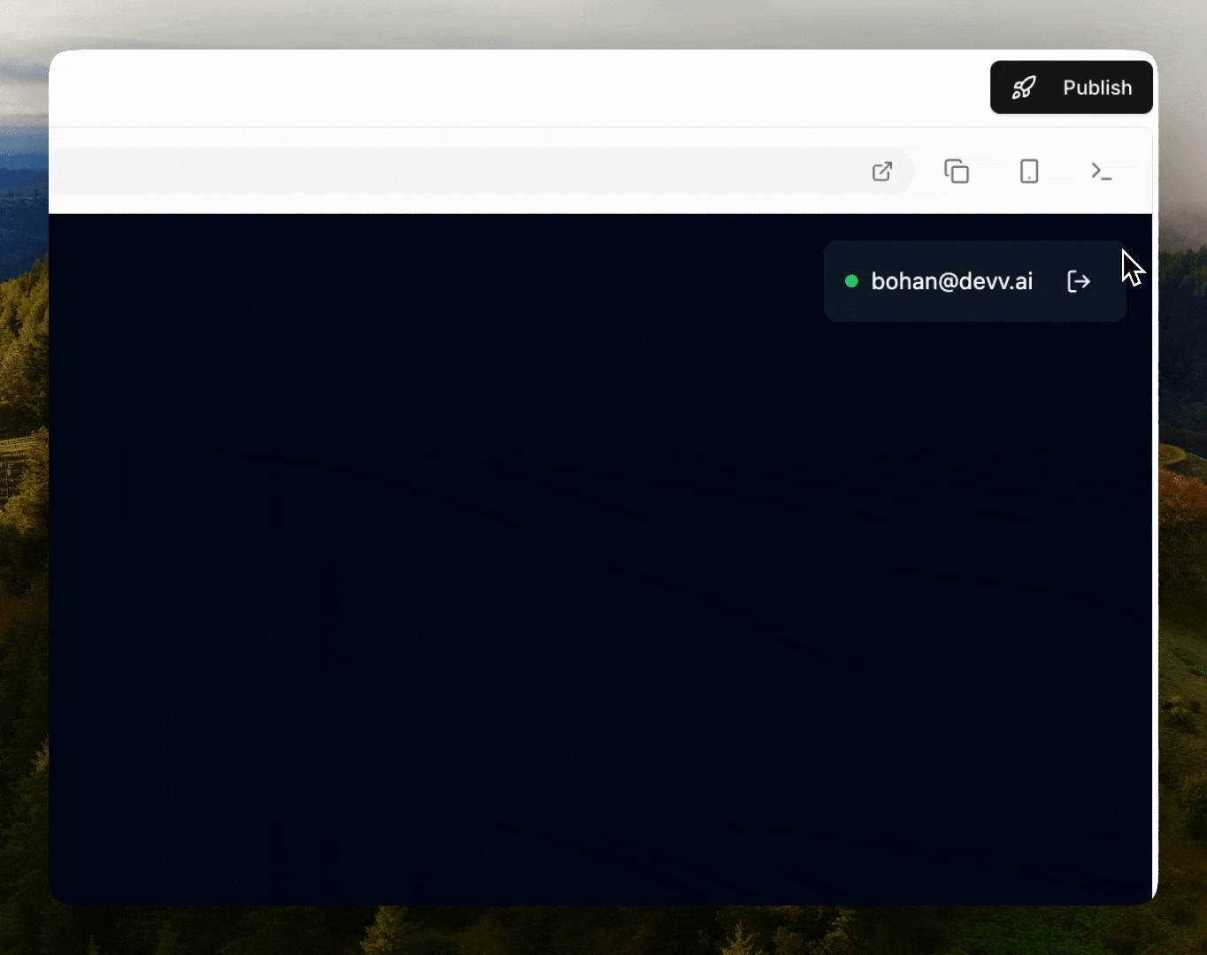 developer console