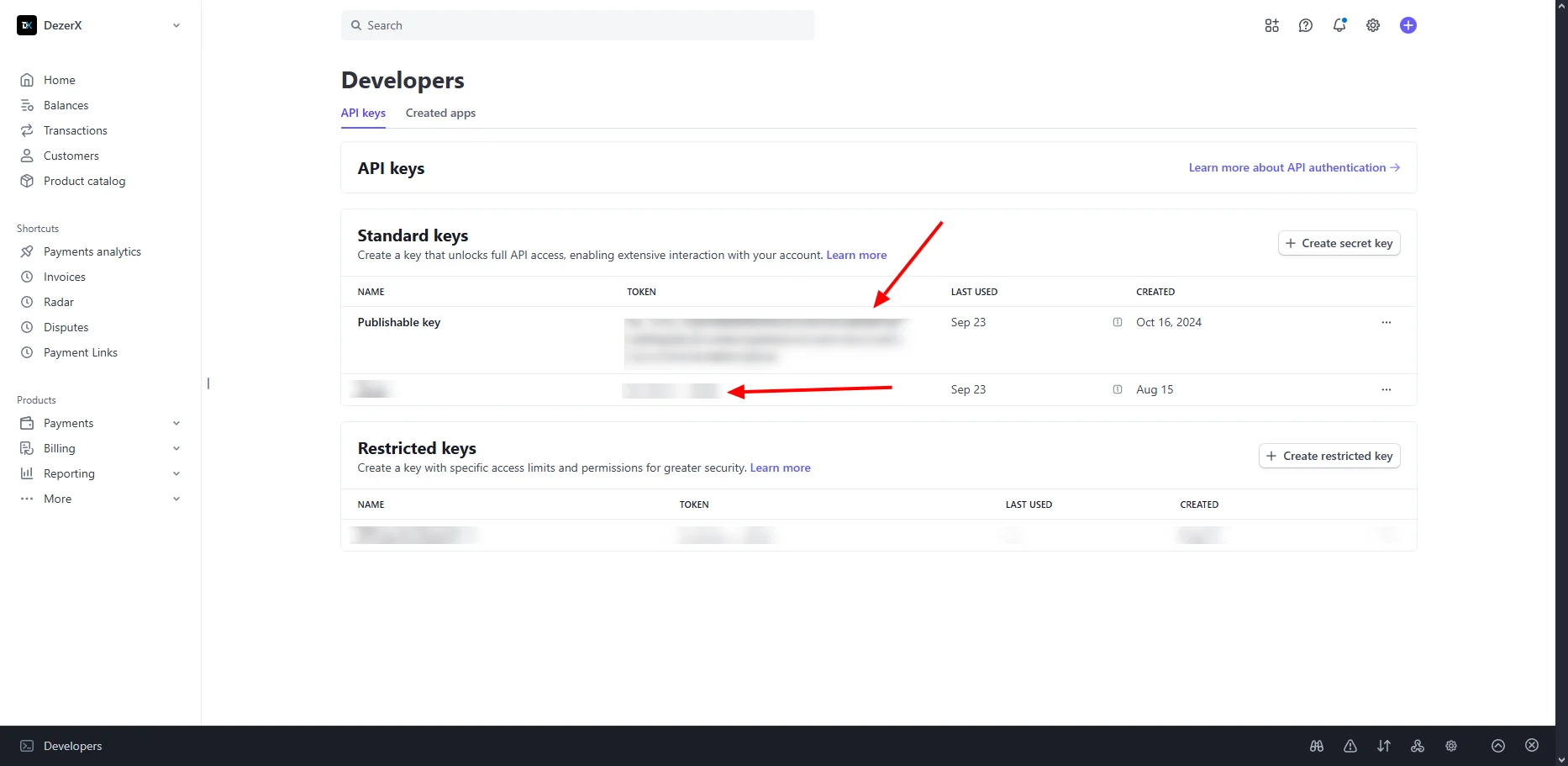 Stripe API Keys