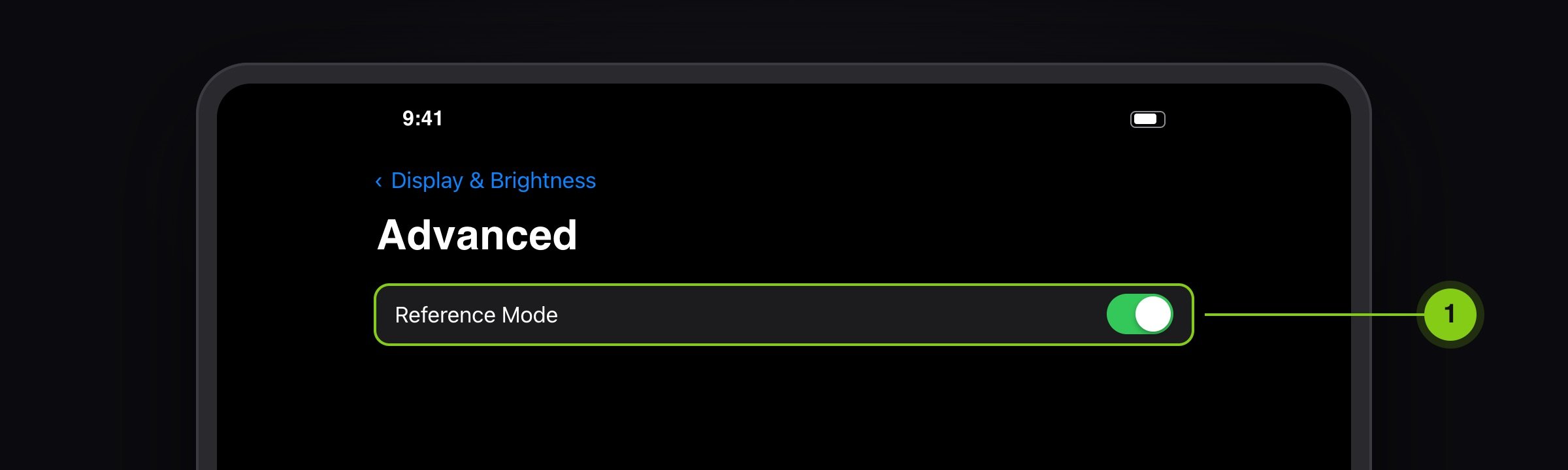 Illustration: the iPad Advanced display setting with Reference Mode turned on