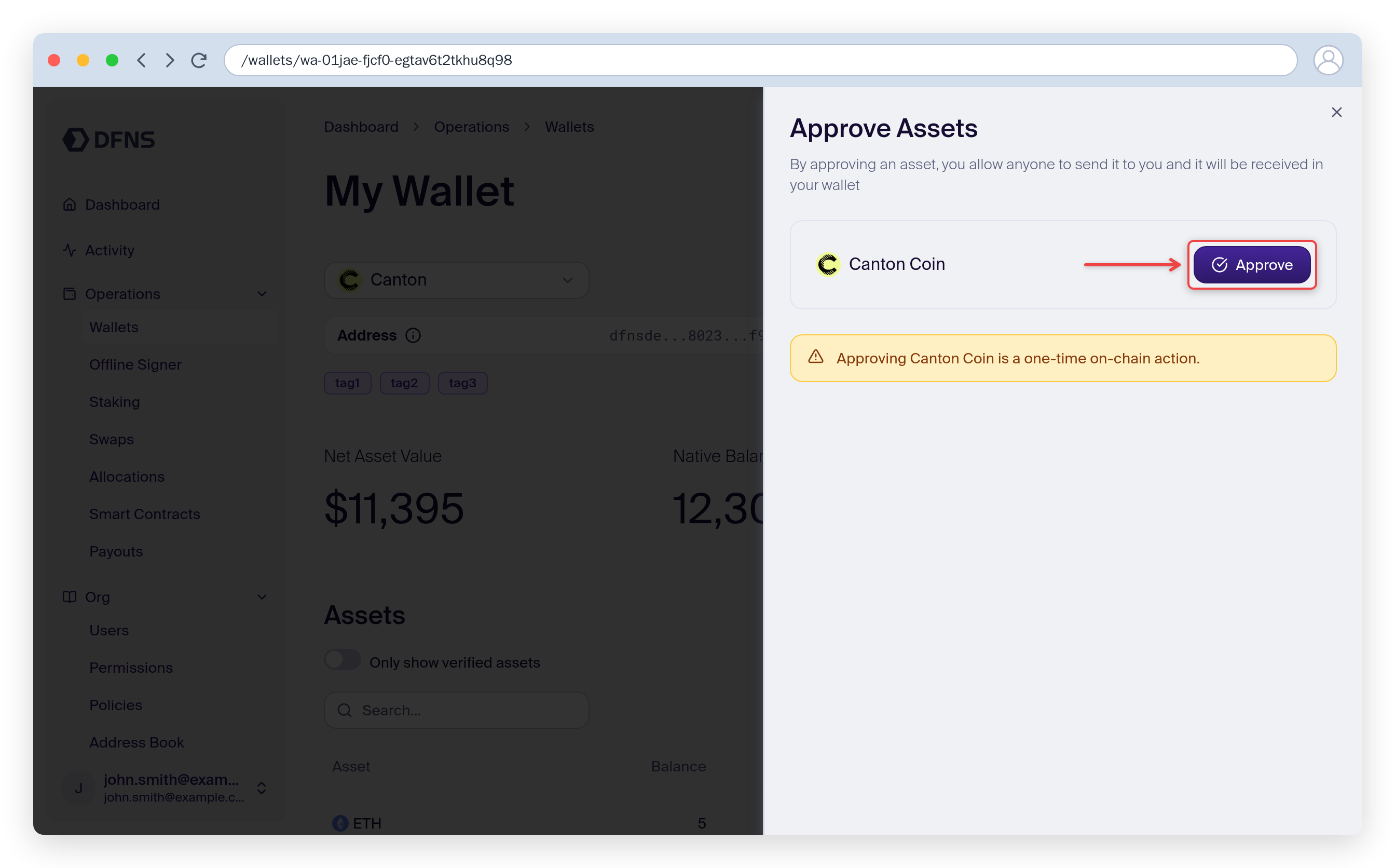 Approve Assets dialog with the Approve button for Canton Coin highlighted