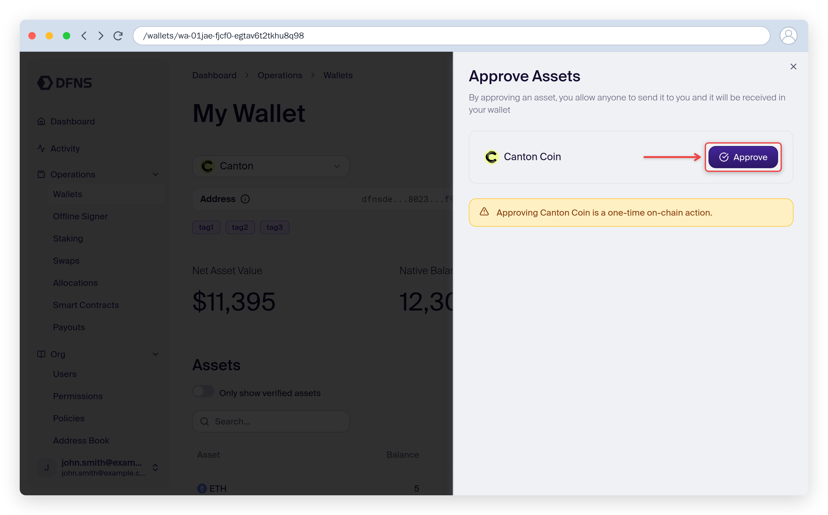 Approve Assets dialog with the Approve button for Canton Coin highlighted