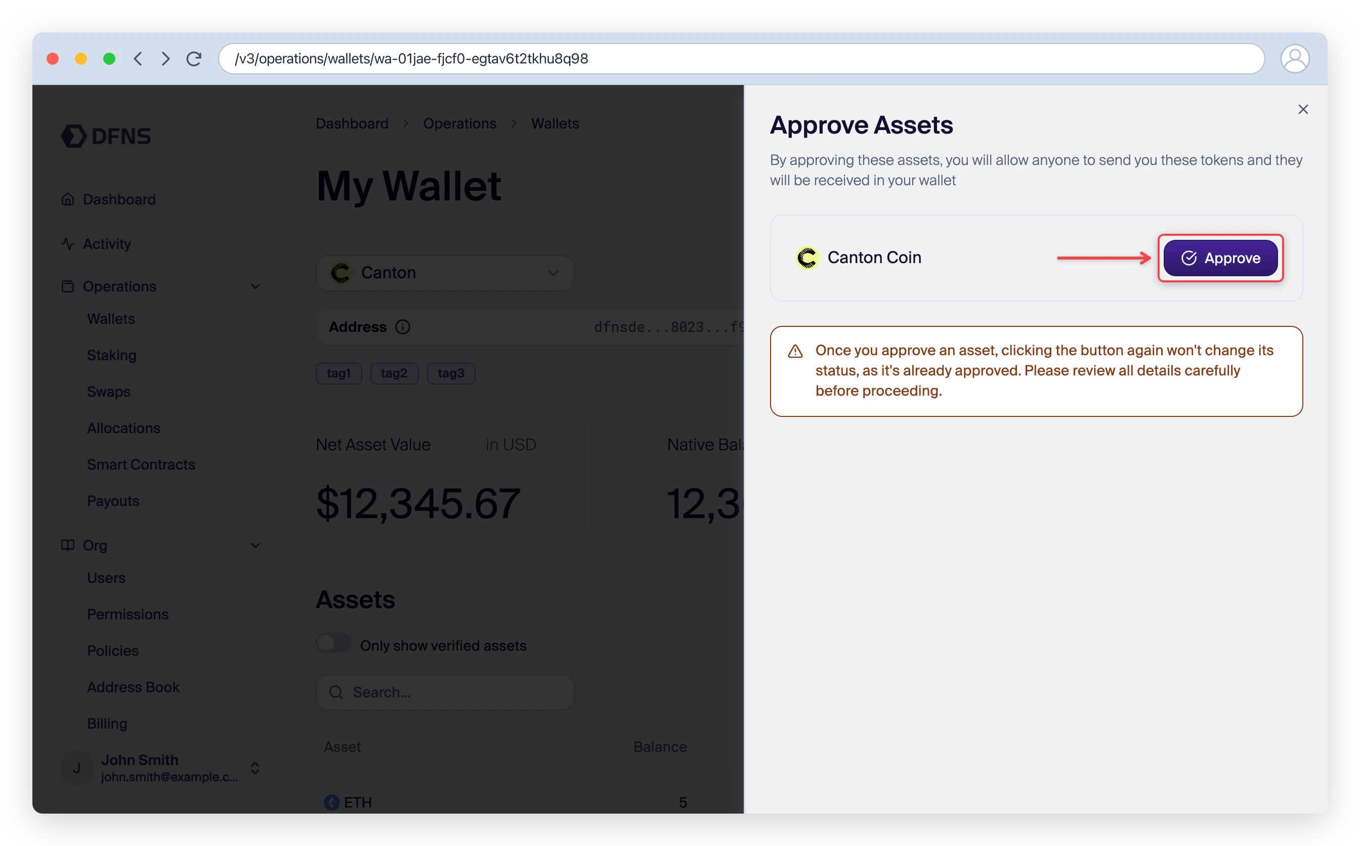 Approve Assets dialog with the Approve button for Canton Coin highlighted