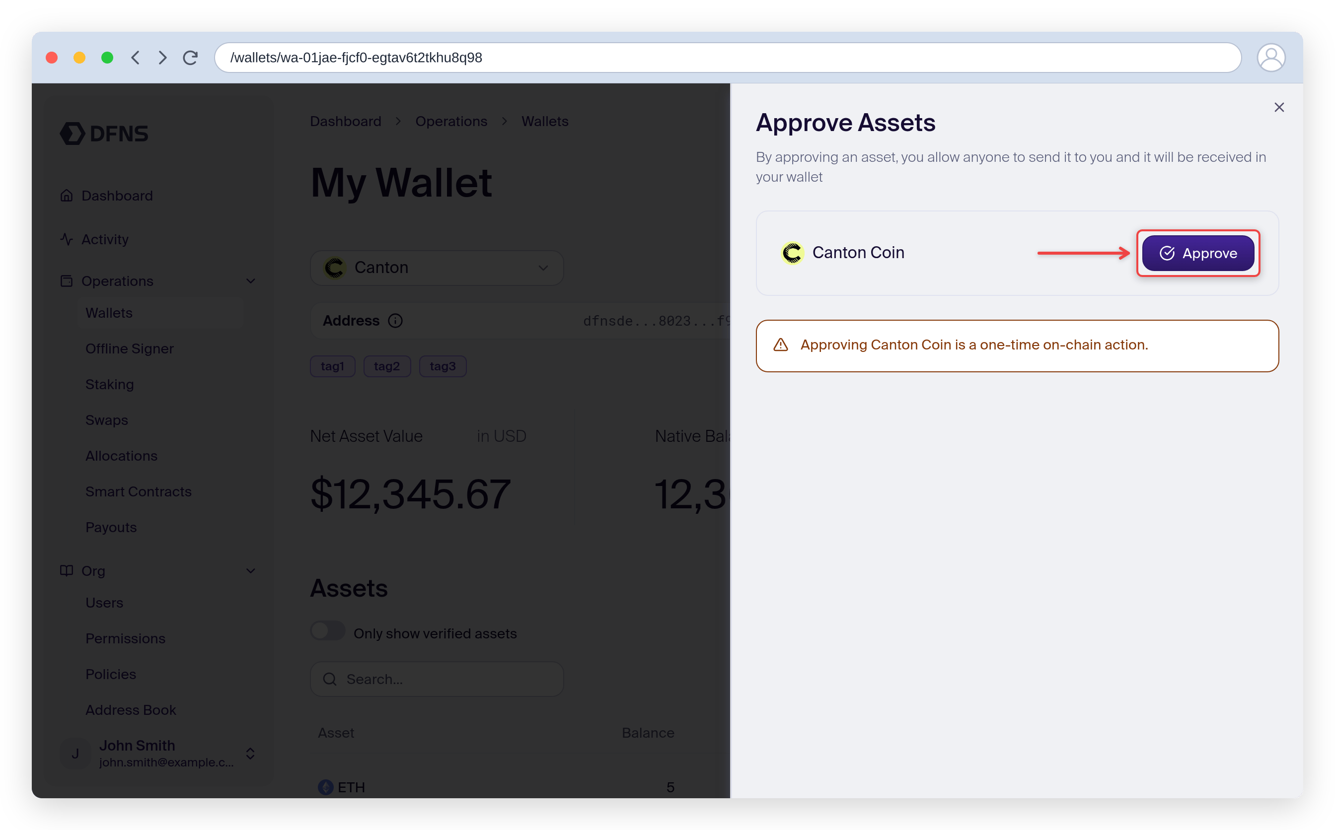 Approve Assets dialog with the Approve button for Canton Coin highlighted