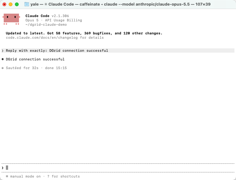 A successful reply in Claude Code Terminal