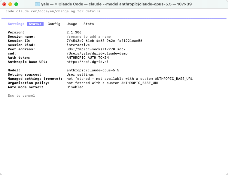 Claude Code Status showing the DGrid URL, token source, and selected model