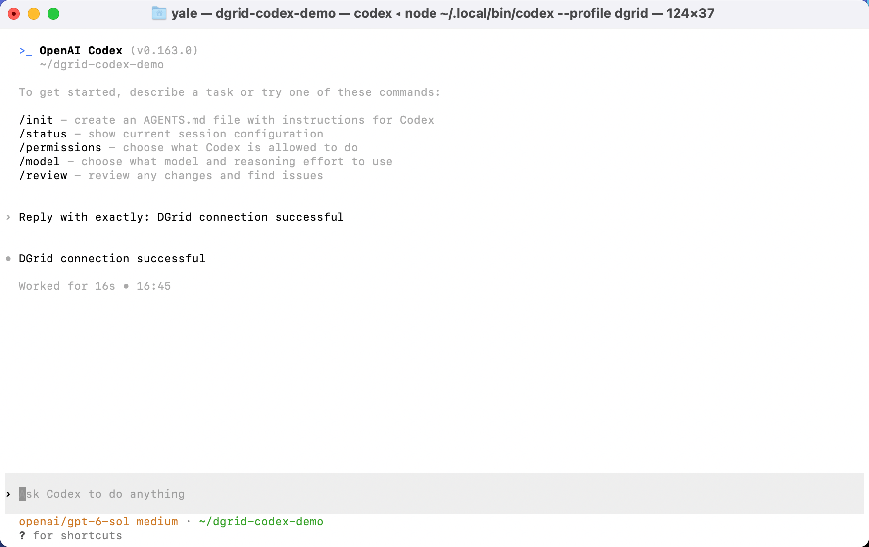 Codex CLI displaying the response with the DGrid model selected