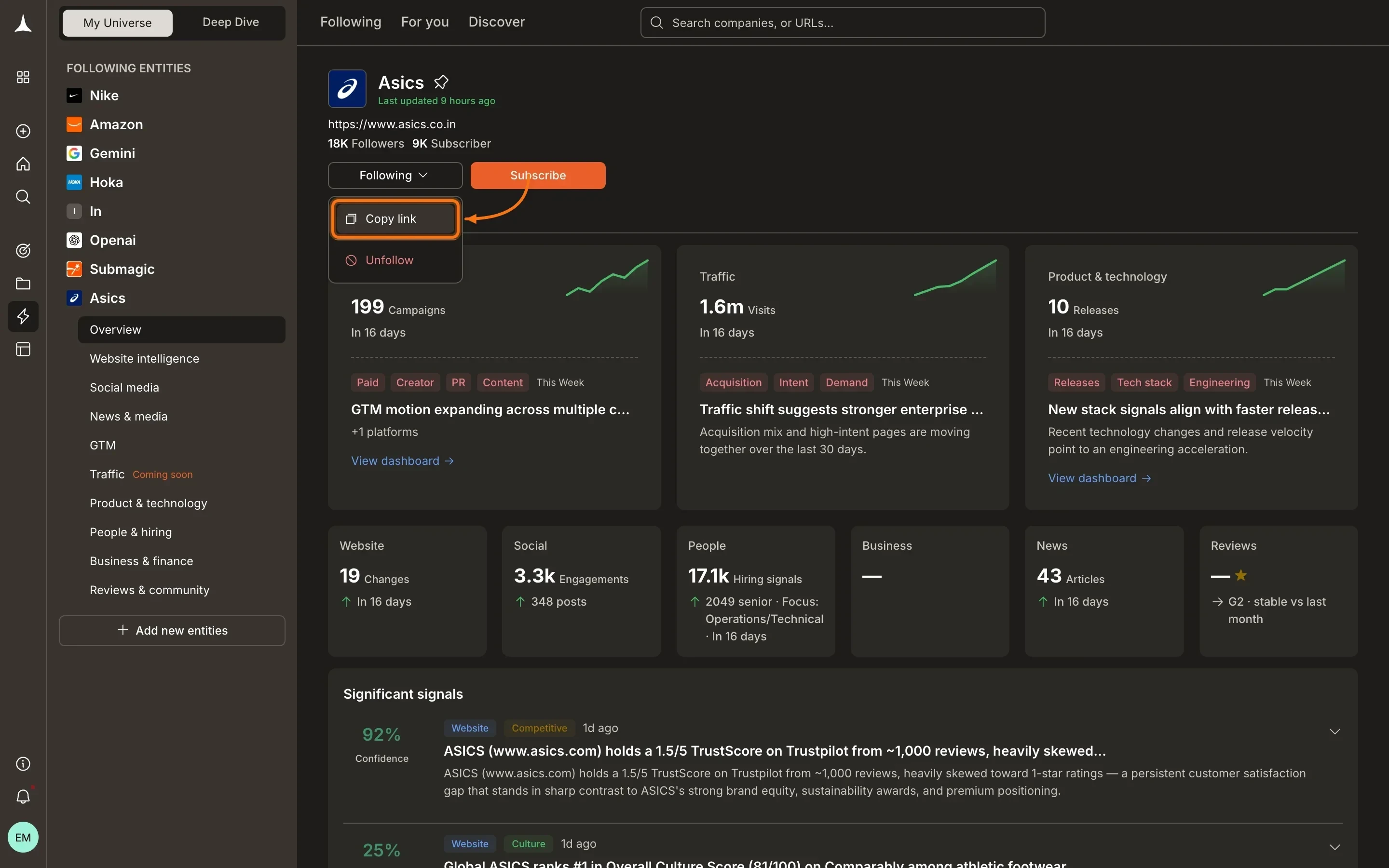 Company dashboard showing pillar overview with Following and Subscribe buttons