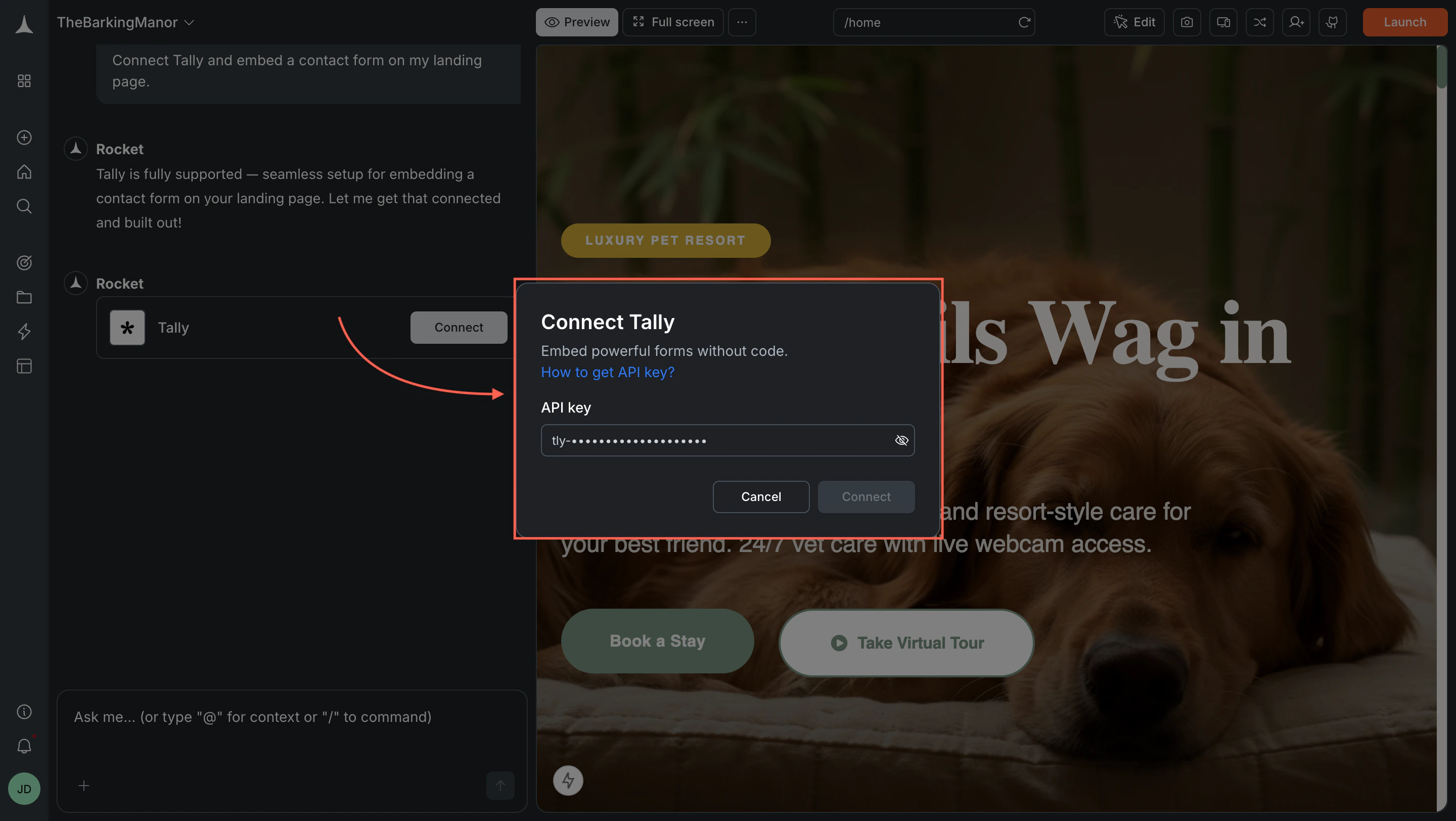 Connect Tally popup with an API key input field.