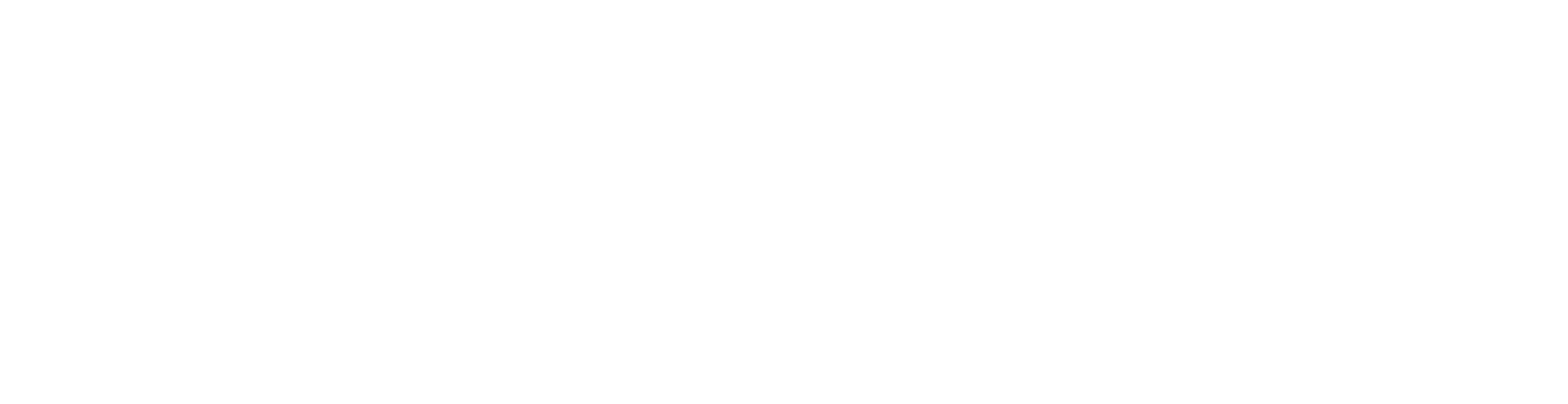 dark logo