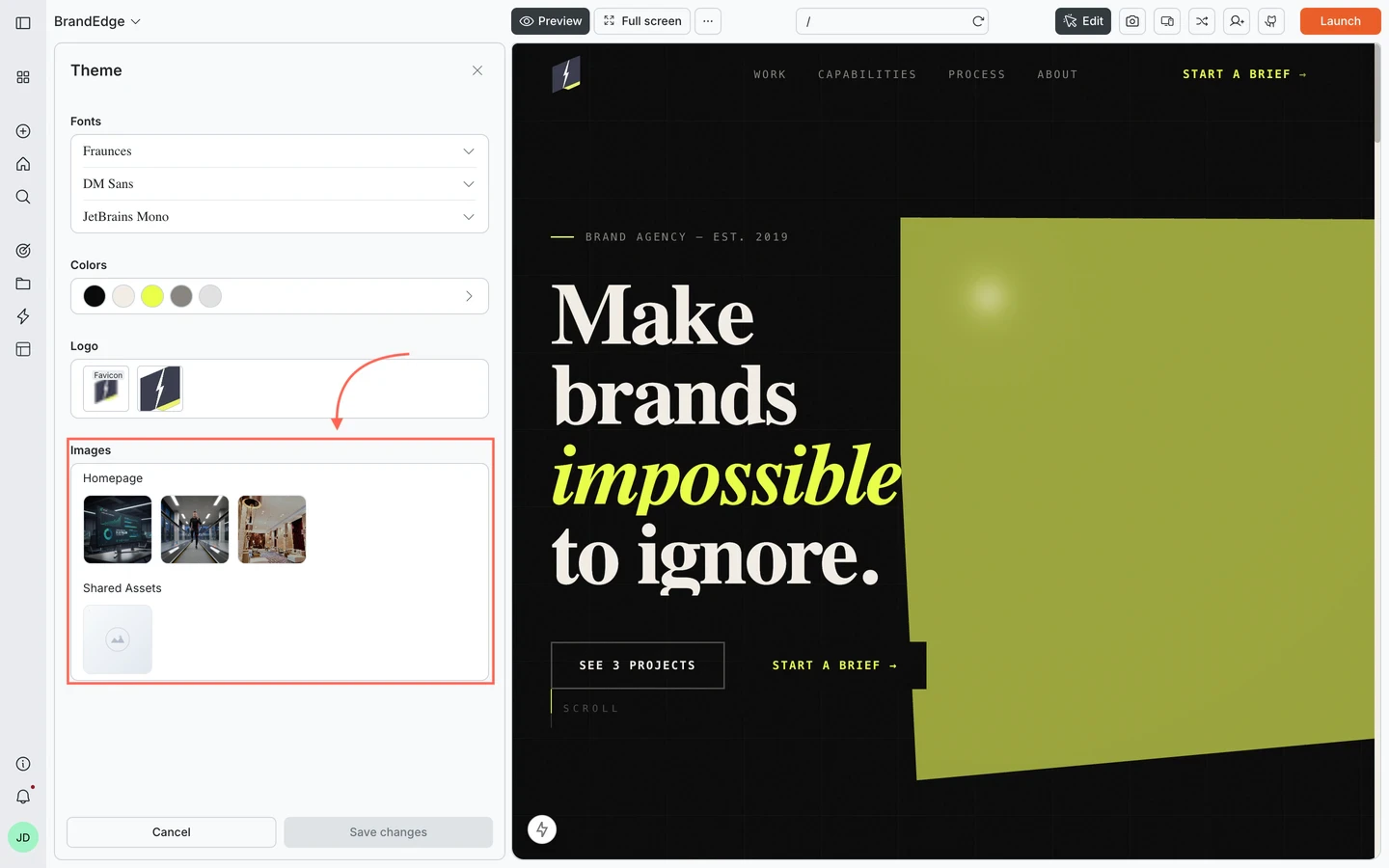 Theme panel with the Images section highlighted, showing image thumbnails organized by page and a Shared Assets group.