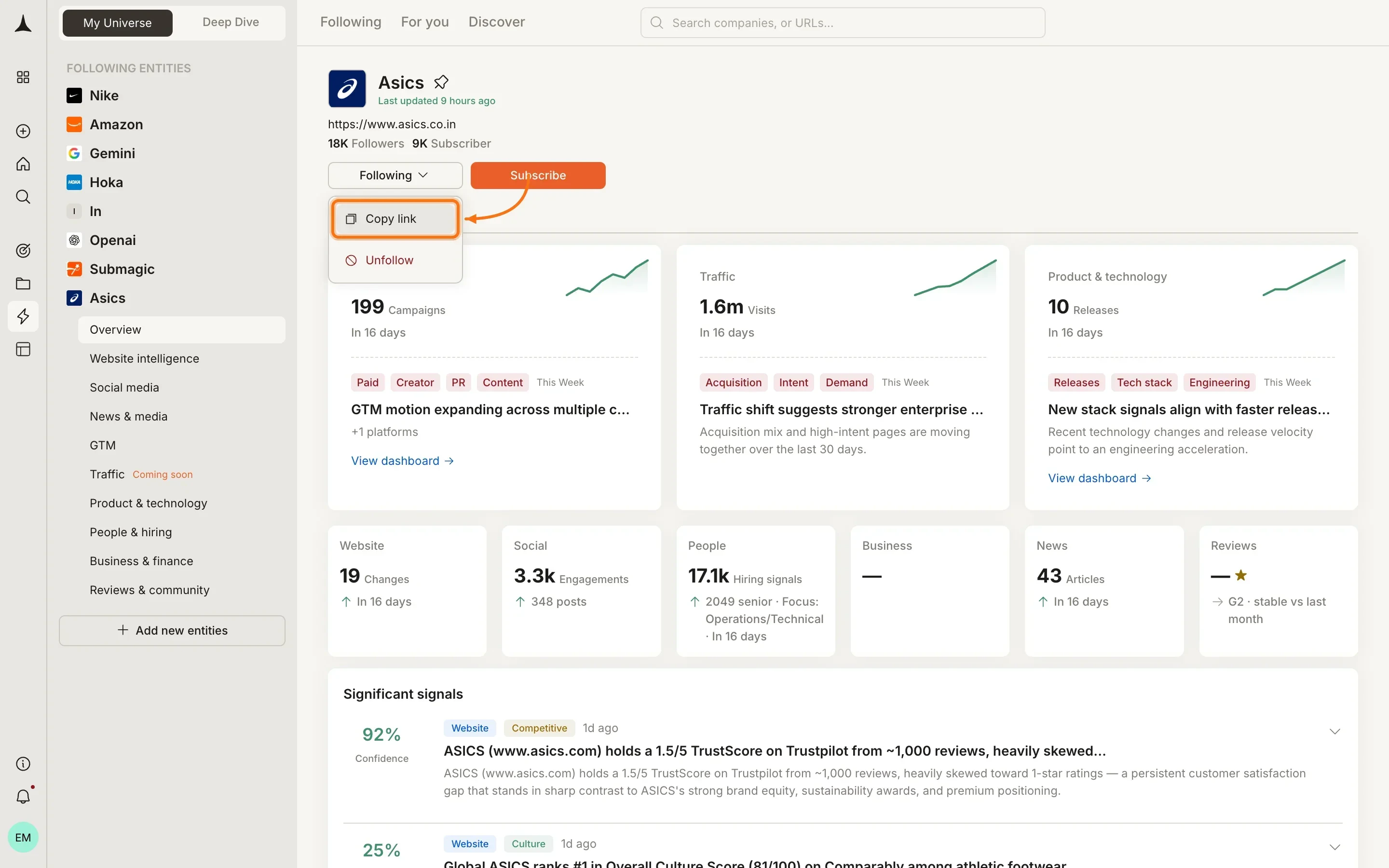 Company dashboard showing pillar overview with Following and Subscribe buttons