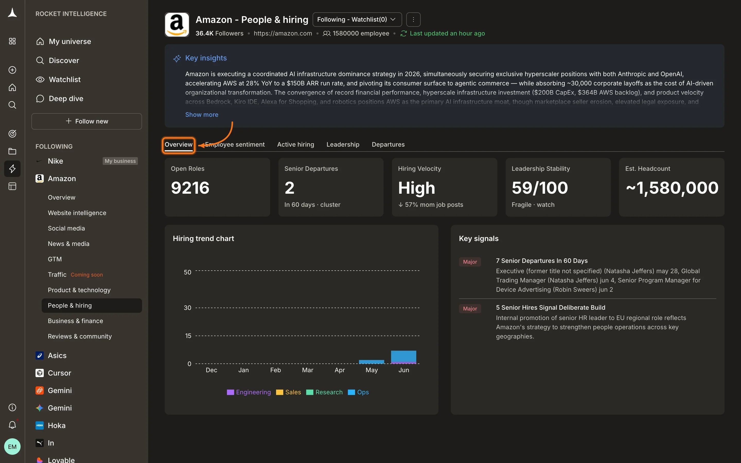 People & Hiring Overview tab with team composition and hiring velocity summary