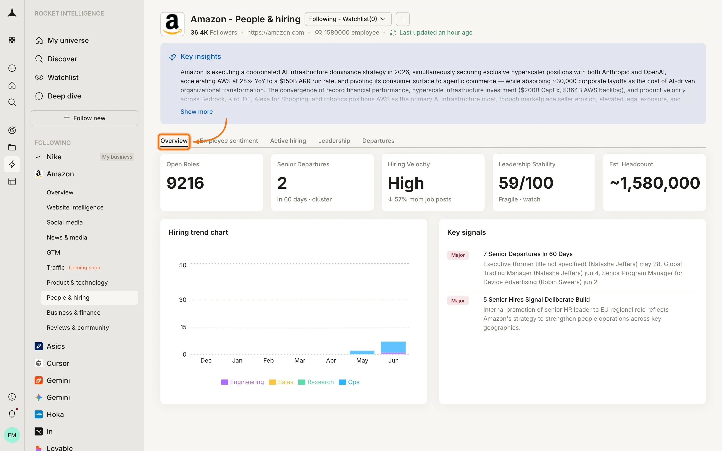 People & Hiring Overview tab with team composition and hiring velocity summary