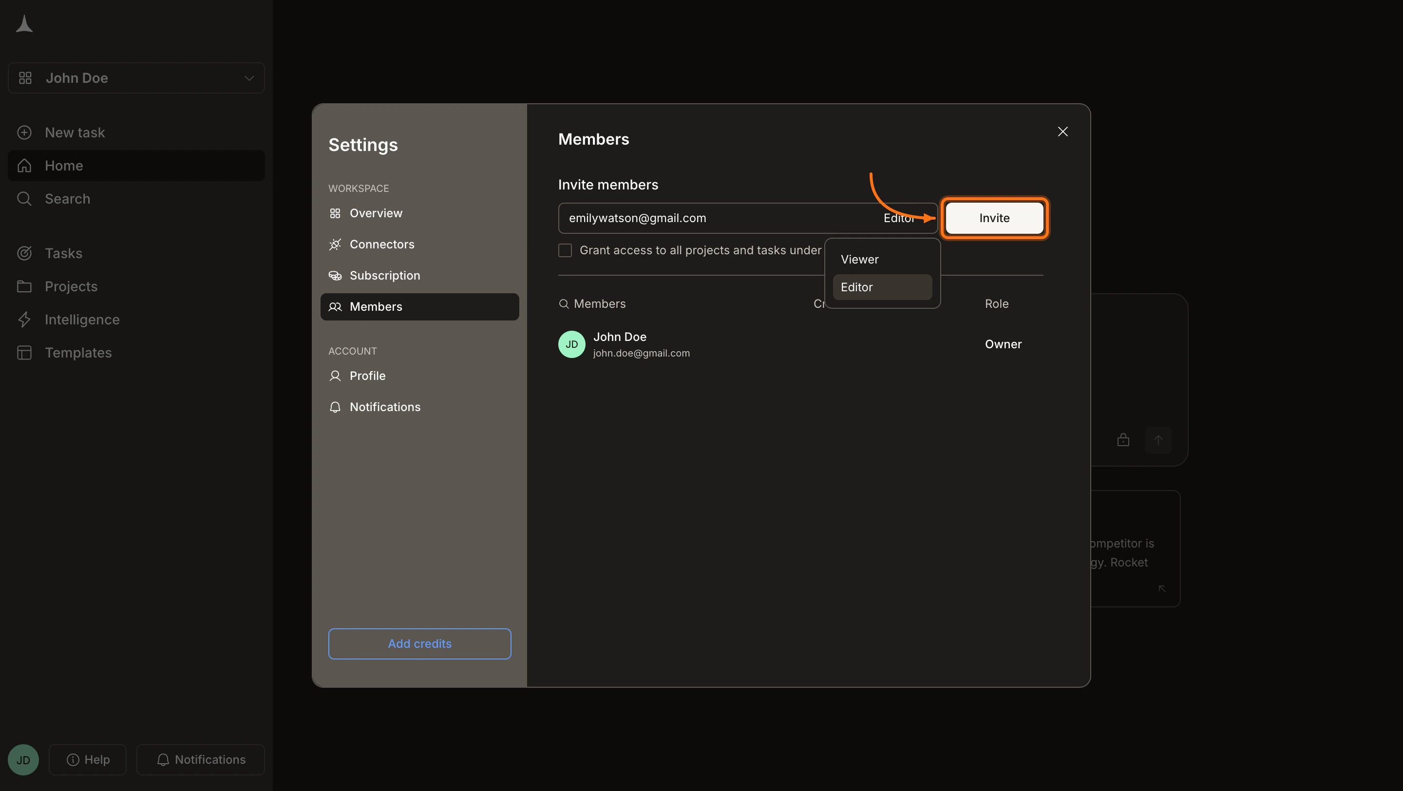 Members panel showing the Grant access to all projects checkbox and the Invite button.