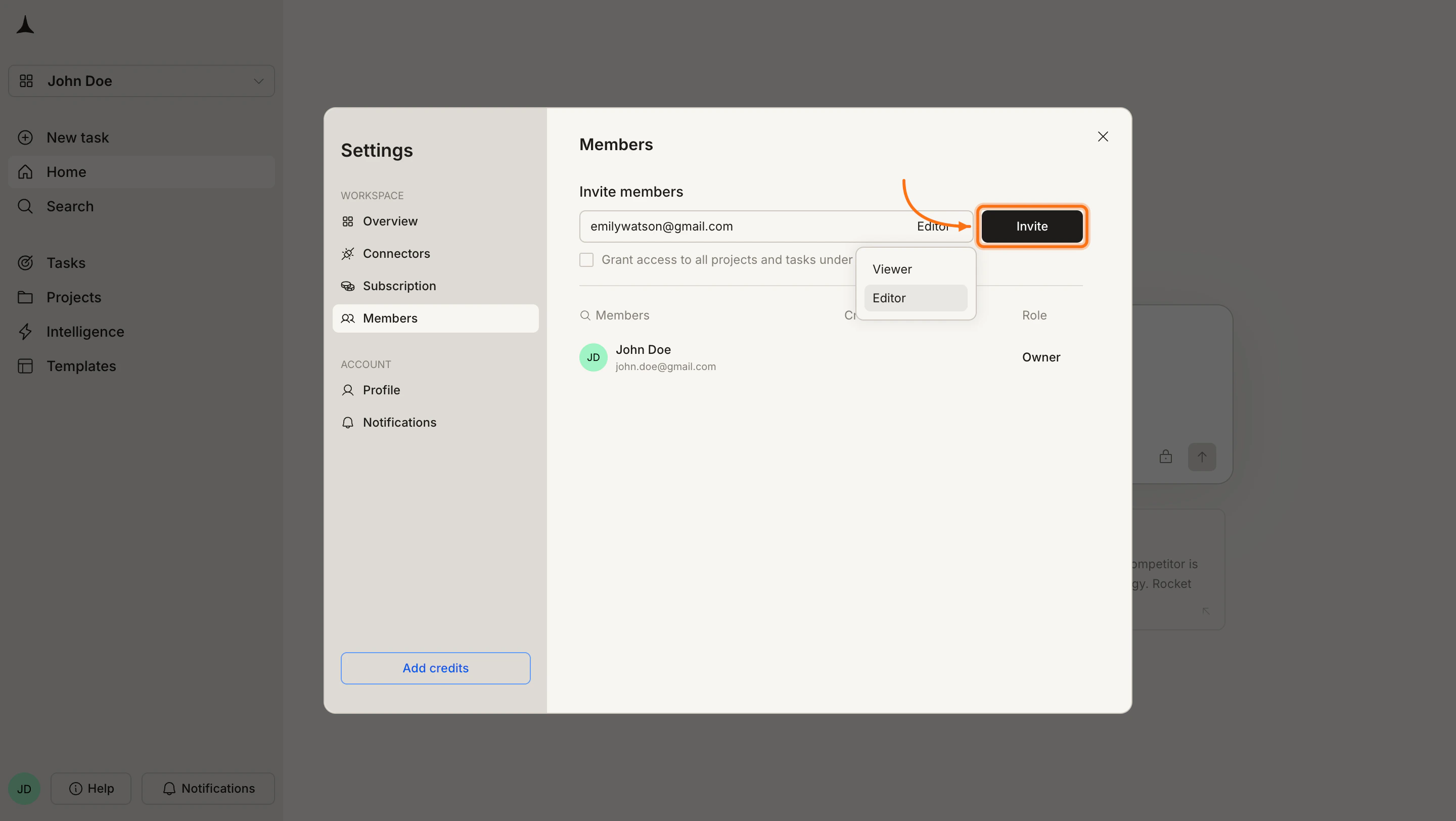 Members panel showing the Grant access to all projects checkbox and the Invite button.