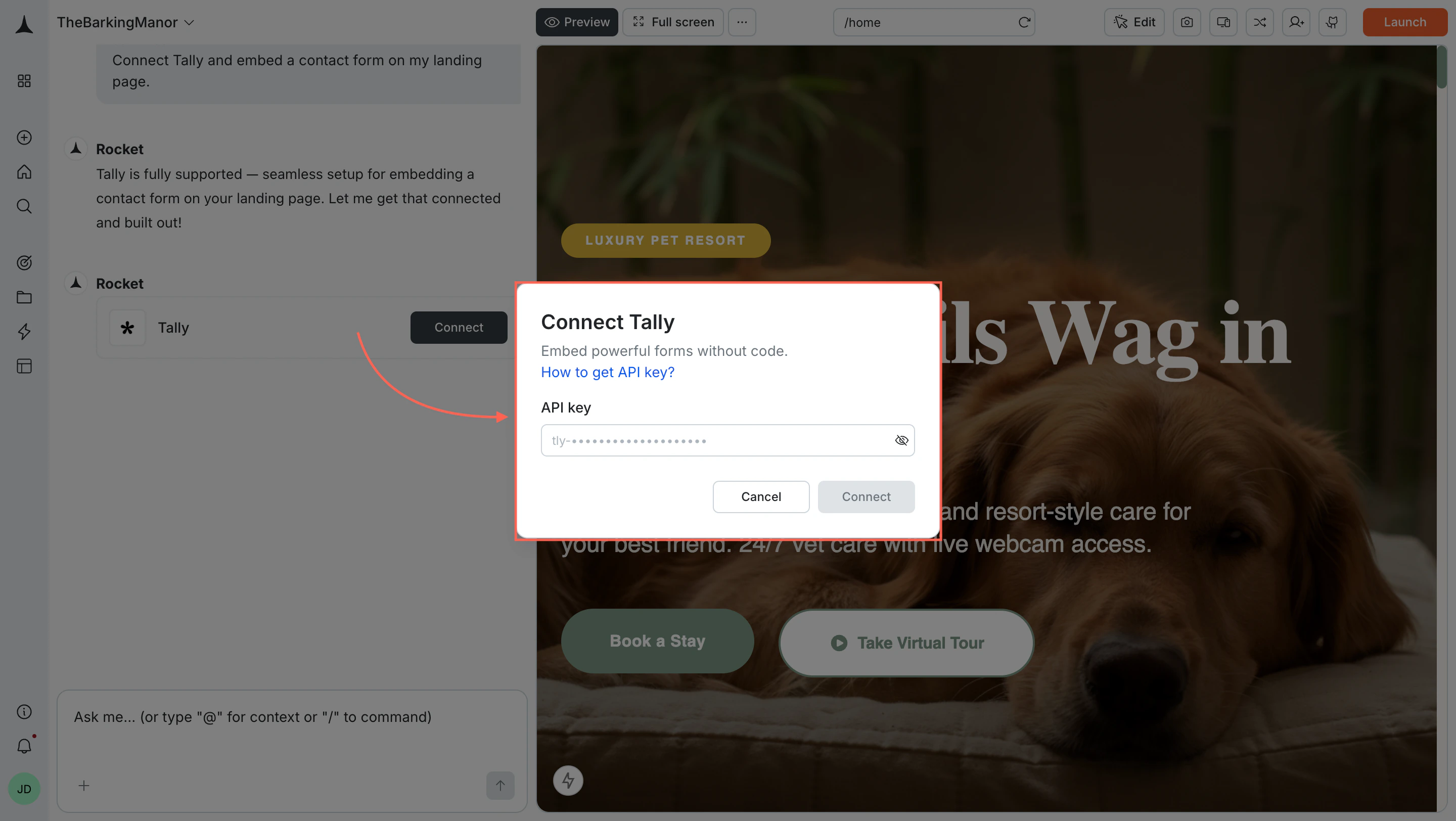 Connect Tally popup with an API key input field.