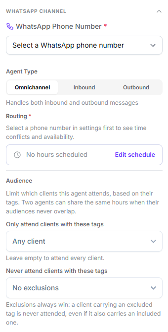 WhatsApp Channel group expanded with the phone number selector, agent type, routing and the include and exclude tag fields