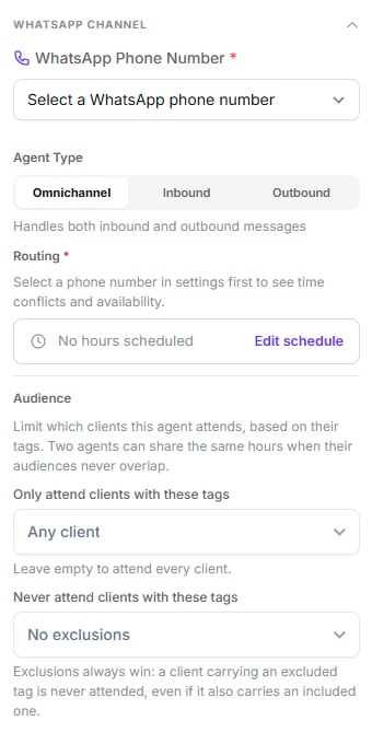 WhatsApp Channel group expanded with the phone number selector, agent type, routing and the include and exclude tag fields