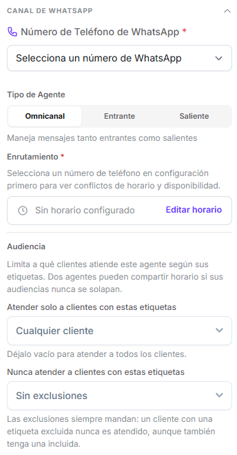 Grupo Canal de WhatsApp desplegado con el selector de número, el tipo de agente, el enrutamiento y los campos de etiquetas incluidas y excluidas