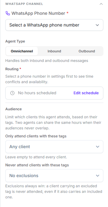 WhatsApp channel group showing phone number, agent type, routing and audience