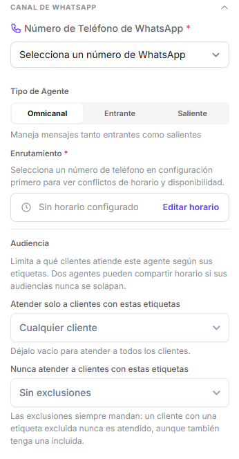 Grupo Canal de WhatsApp con número de teléfono, tipo de agente, enrutamiento y audiencia