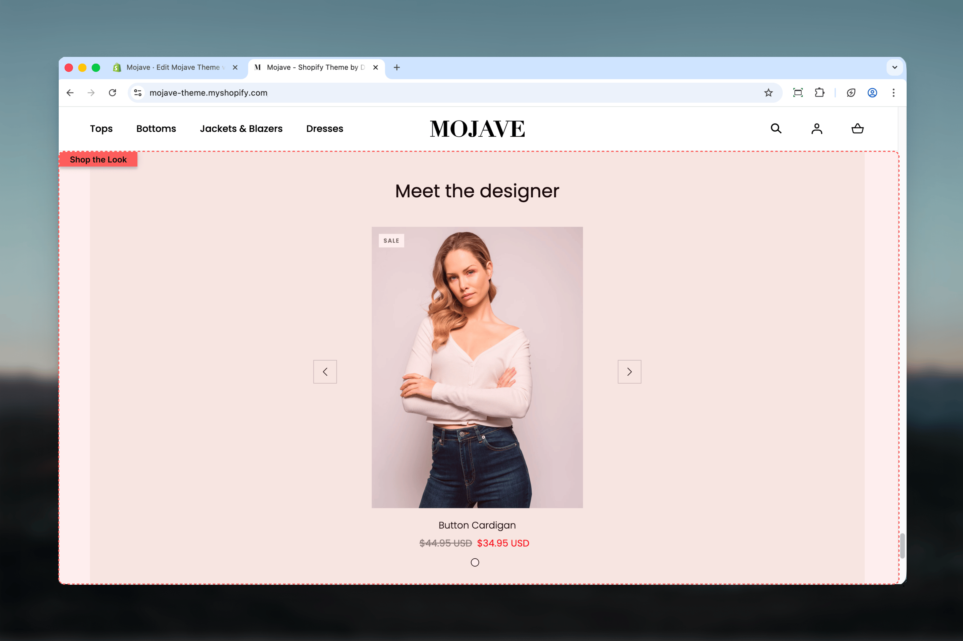 Shop the Look Section