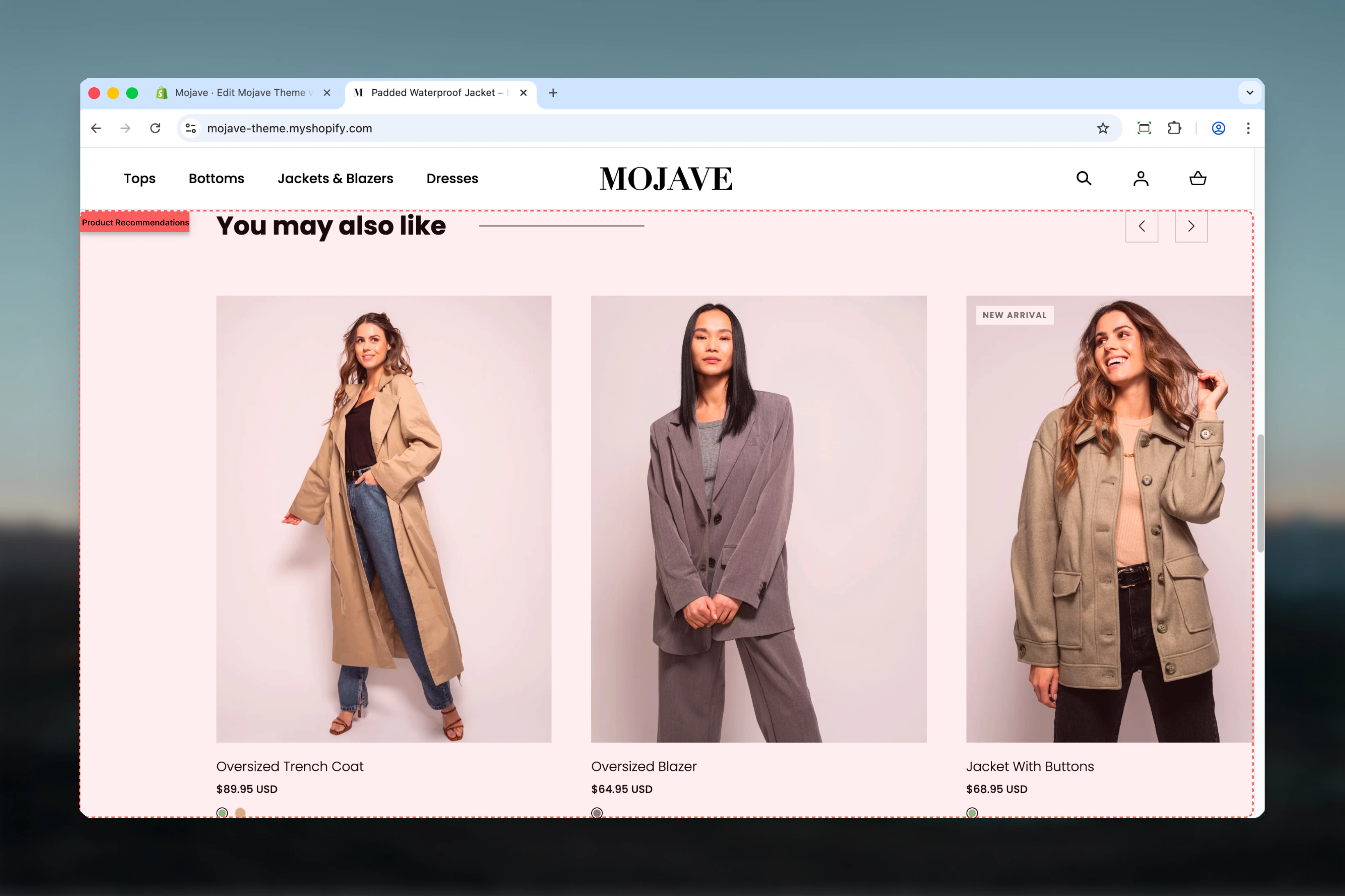 Product Recommendations Section