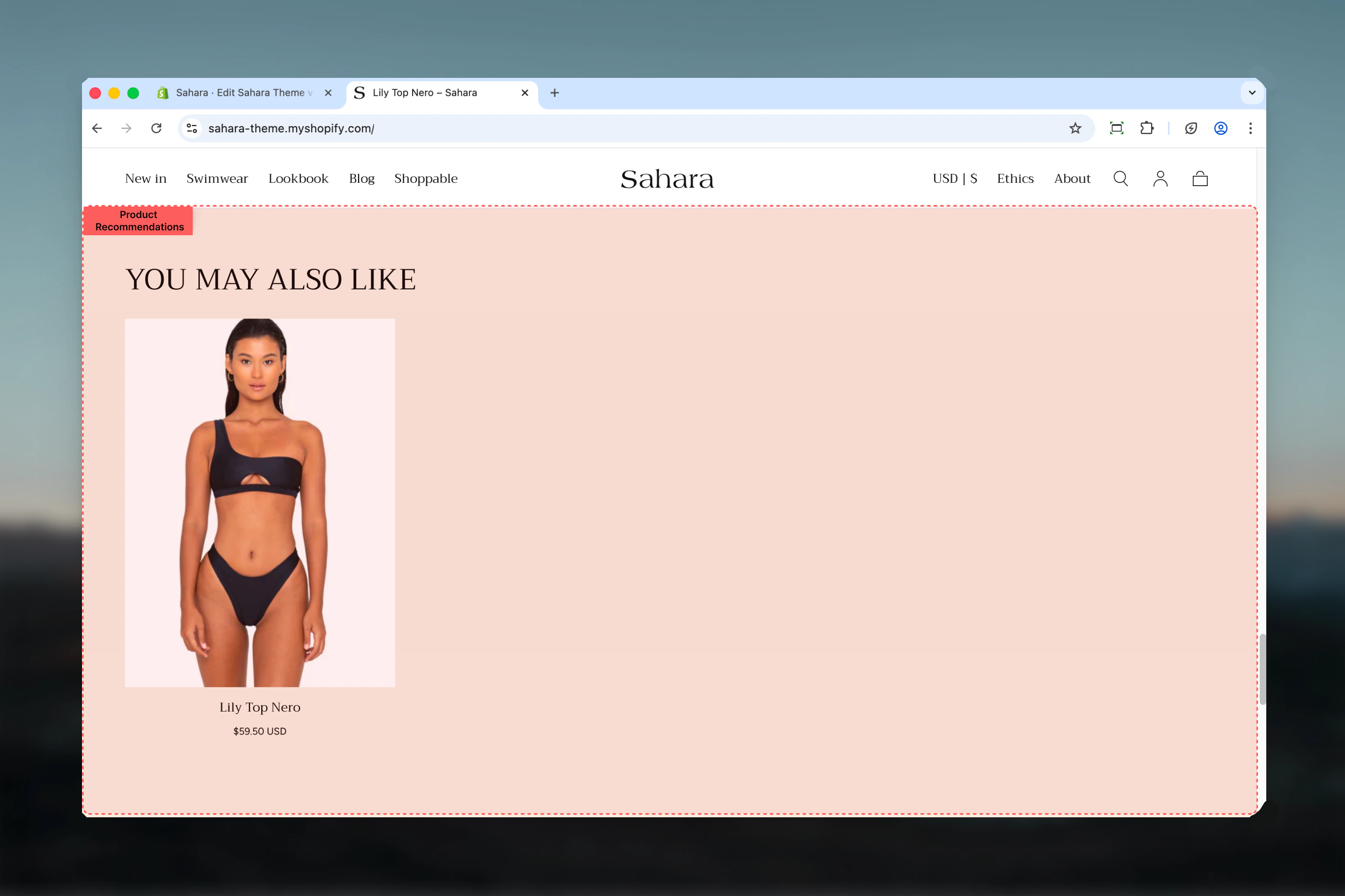 Product recommendations section overview