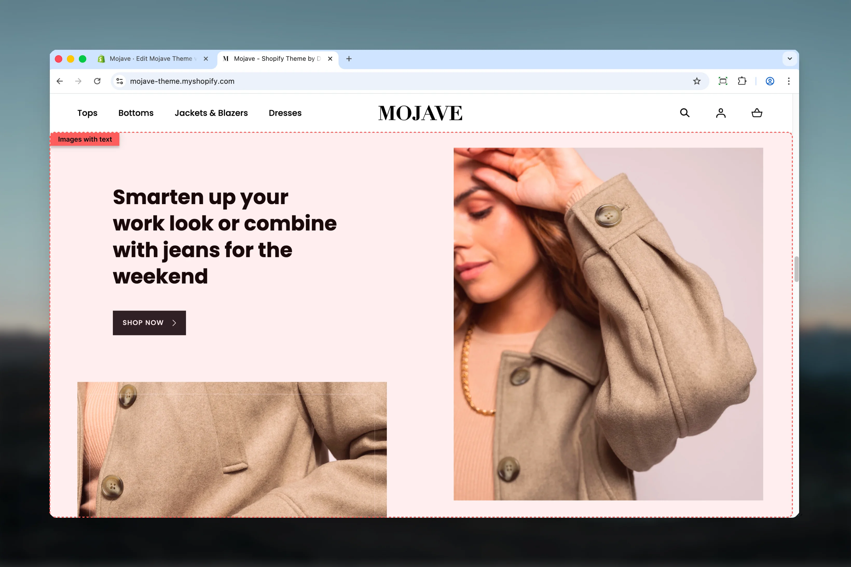 Images with Text Section