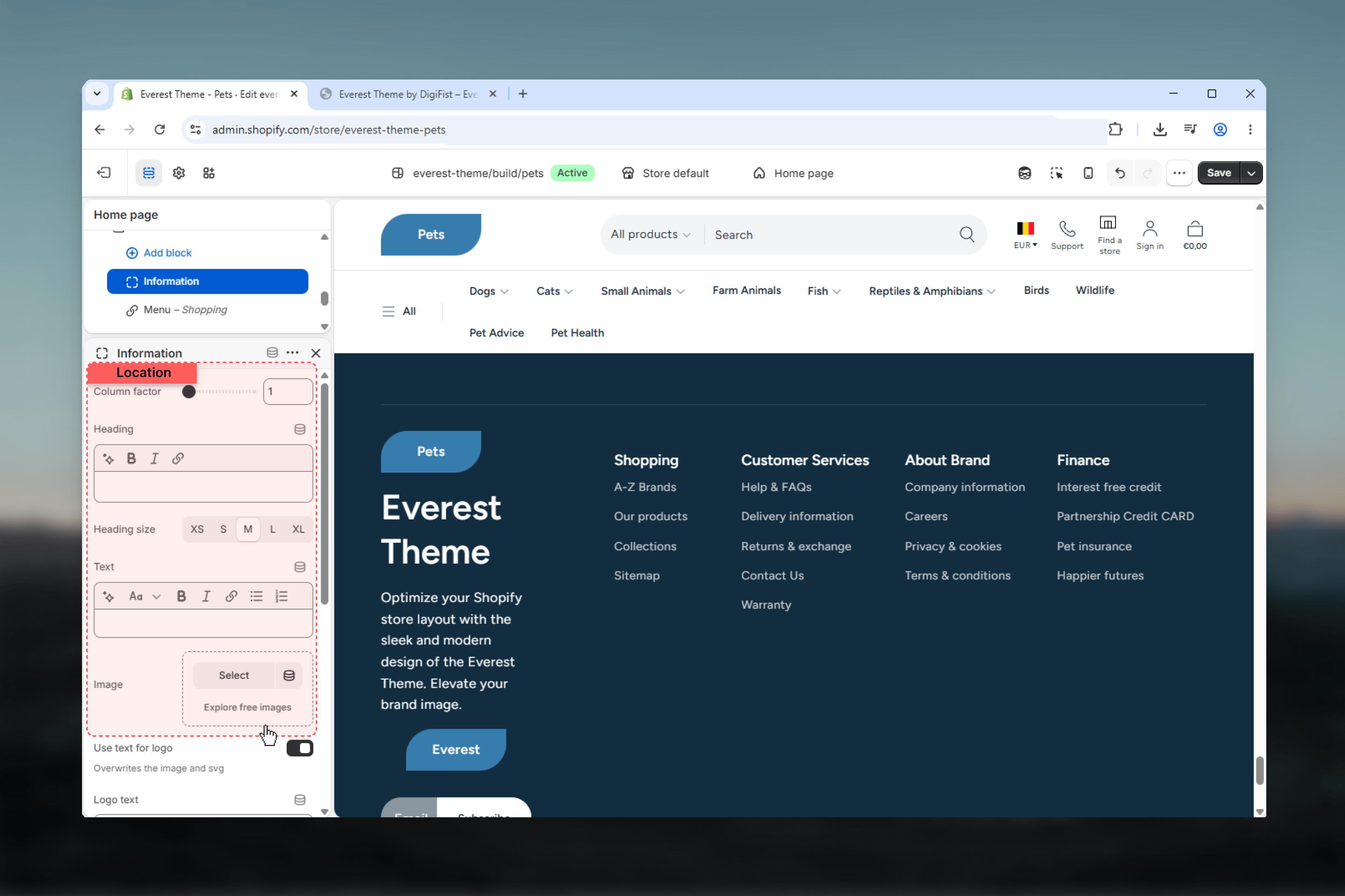 Footer Information settings