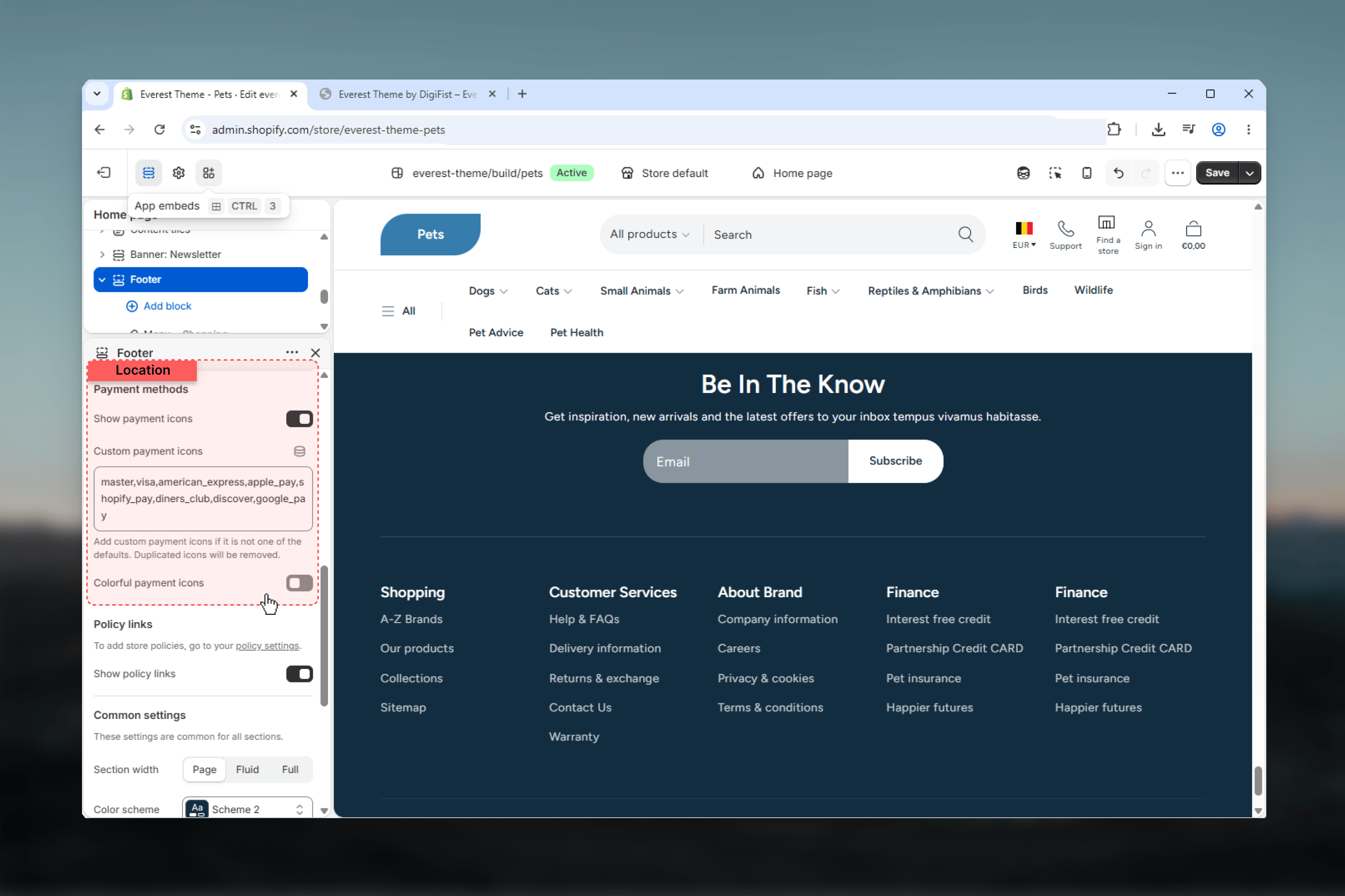 Footer Payment Methods settings