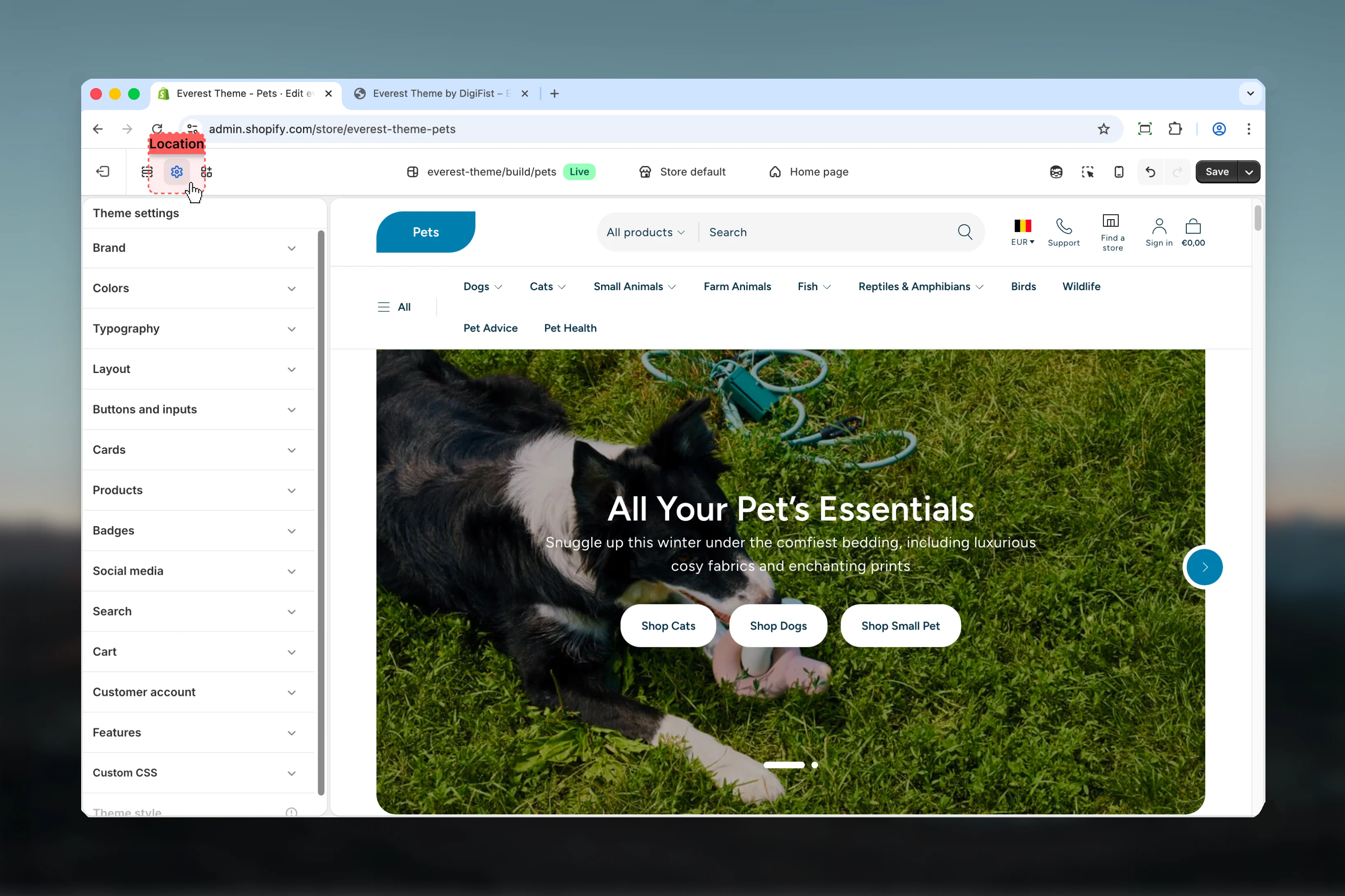 Theme settings location in the Everest customizer