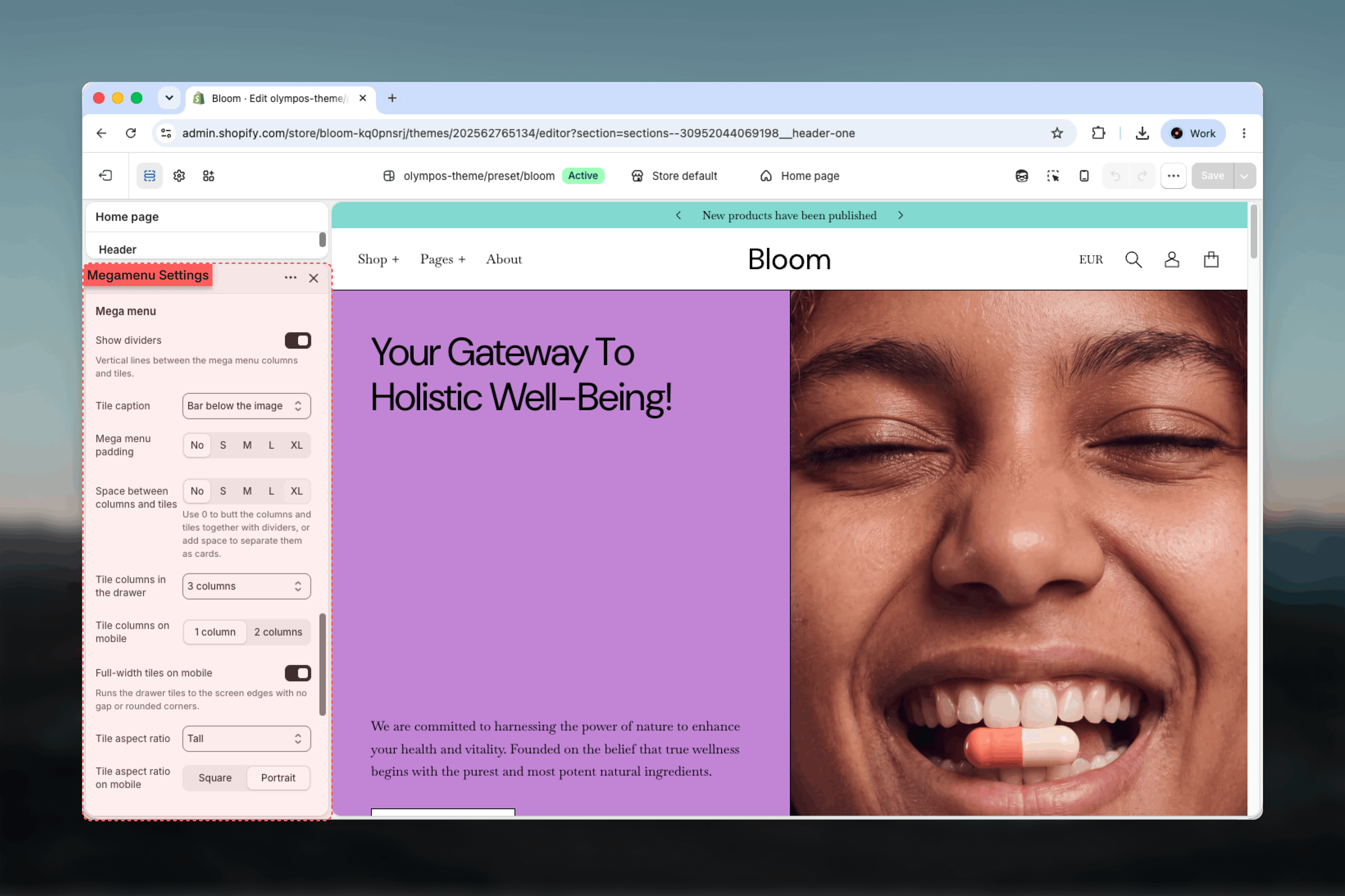 Mega menu settings in the Header section