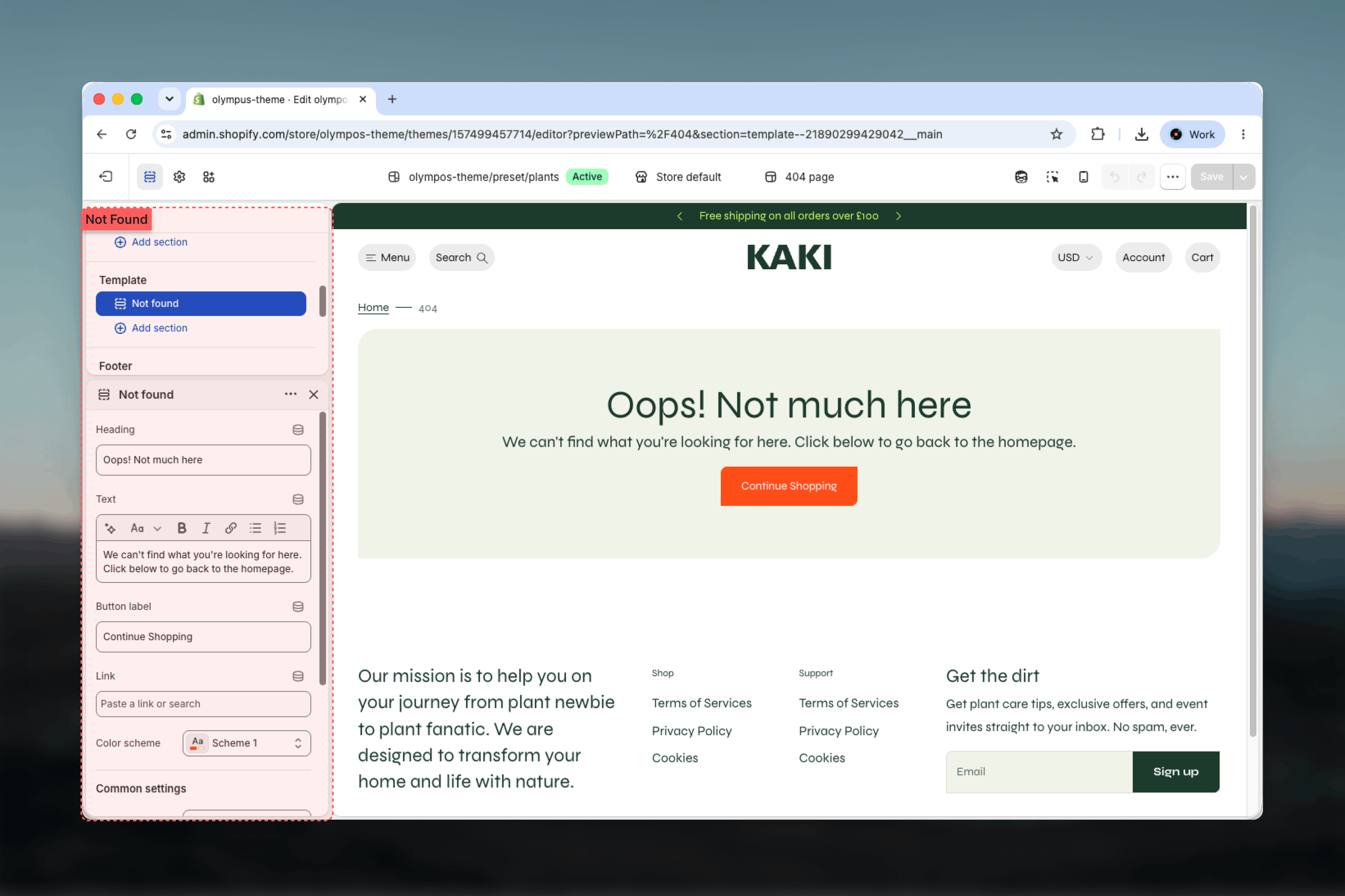 Not found section selected in the Theme Customizer sidebar