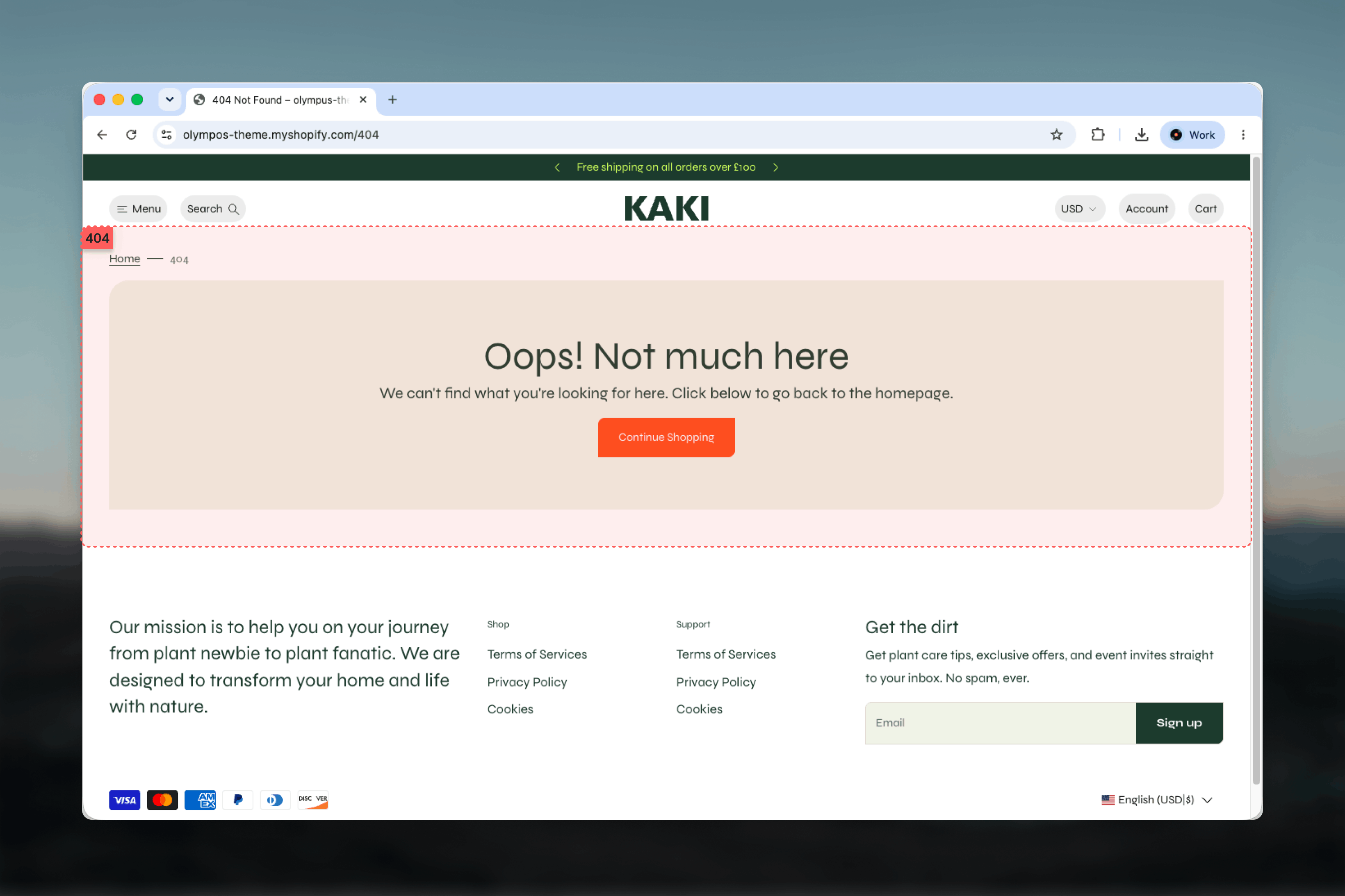 404 Error Page on the storefront showing the breadcrumb, heading card and Continue Shopping button