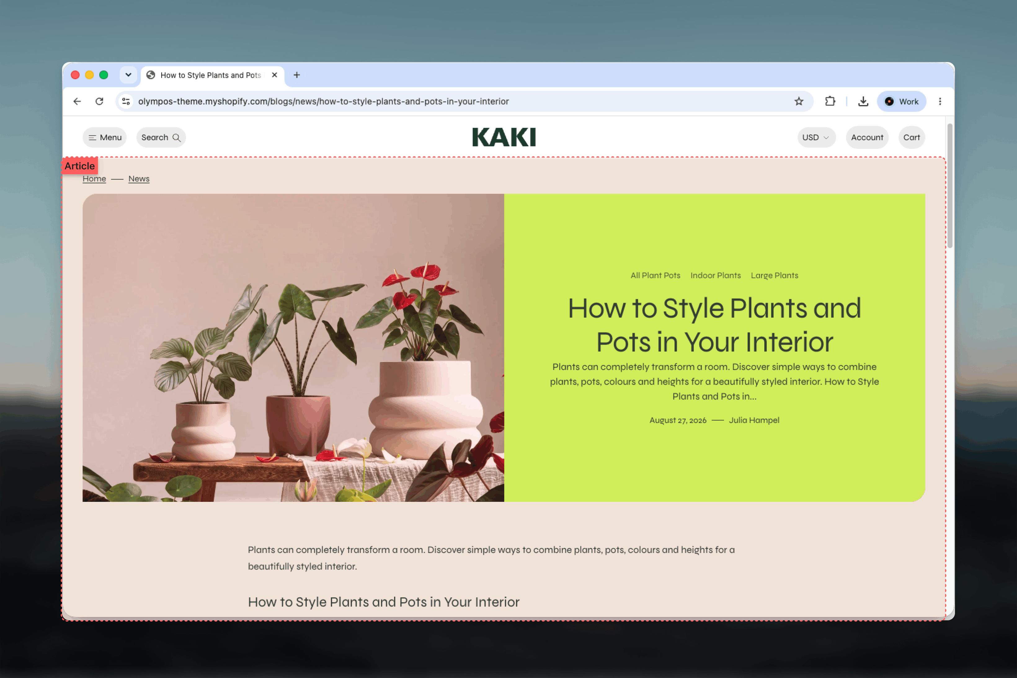 Article page on the storefront showing the banner, title, body content and share row