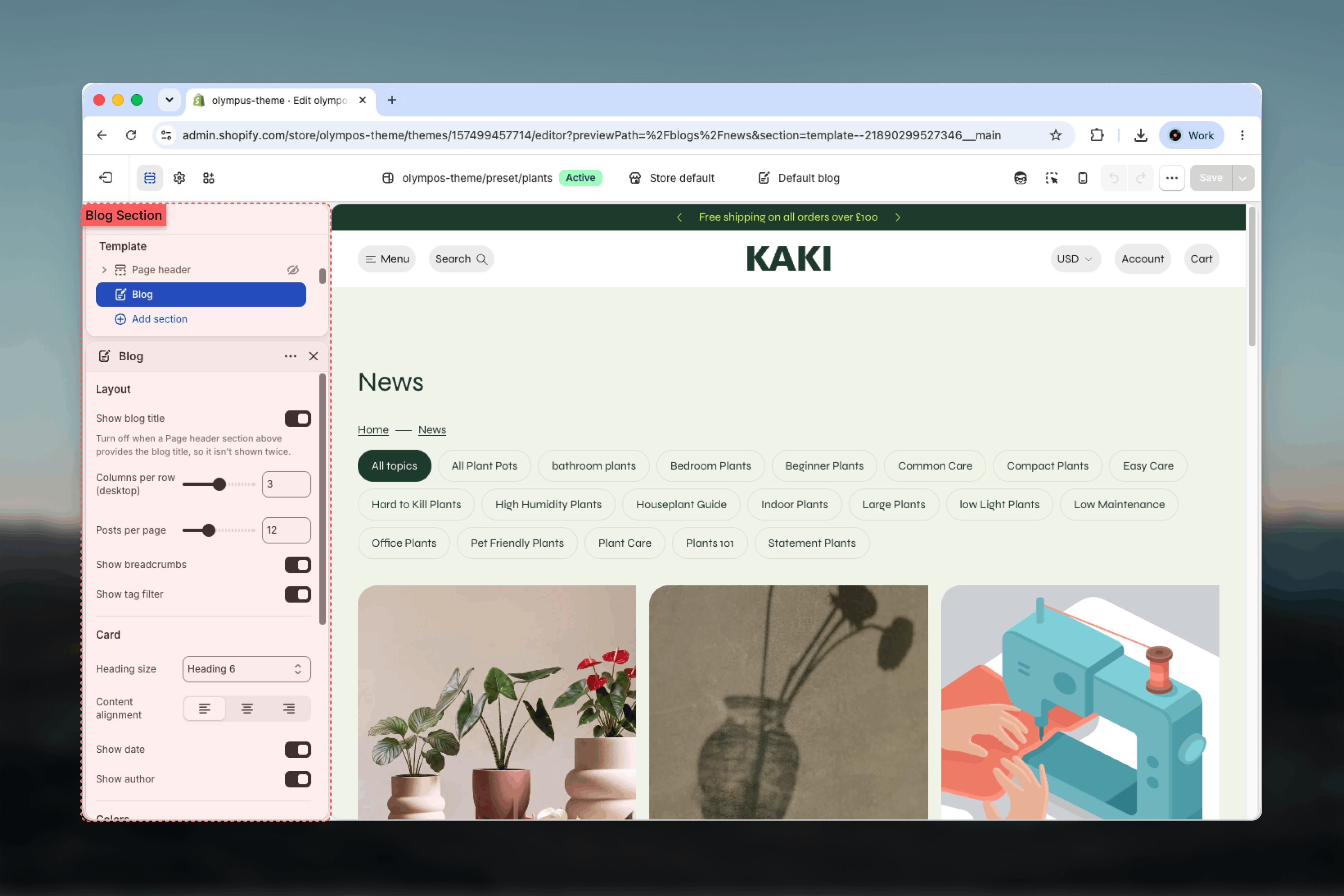 Blog section selected in the Theme Customizer sidebar