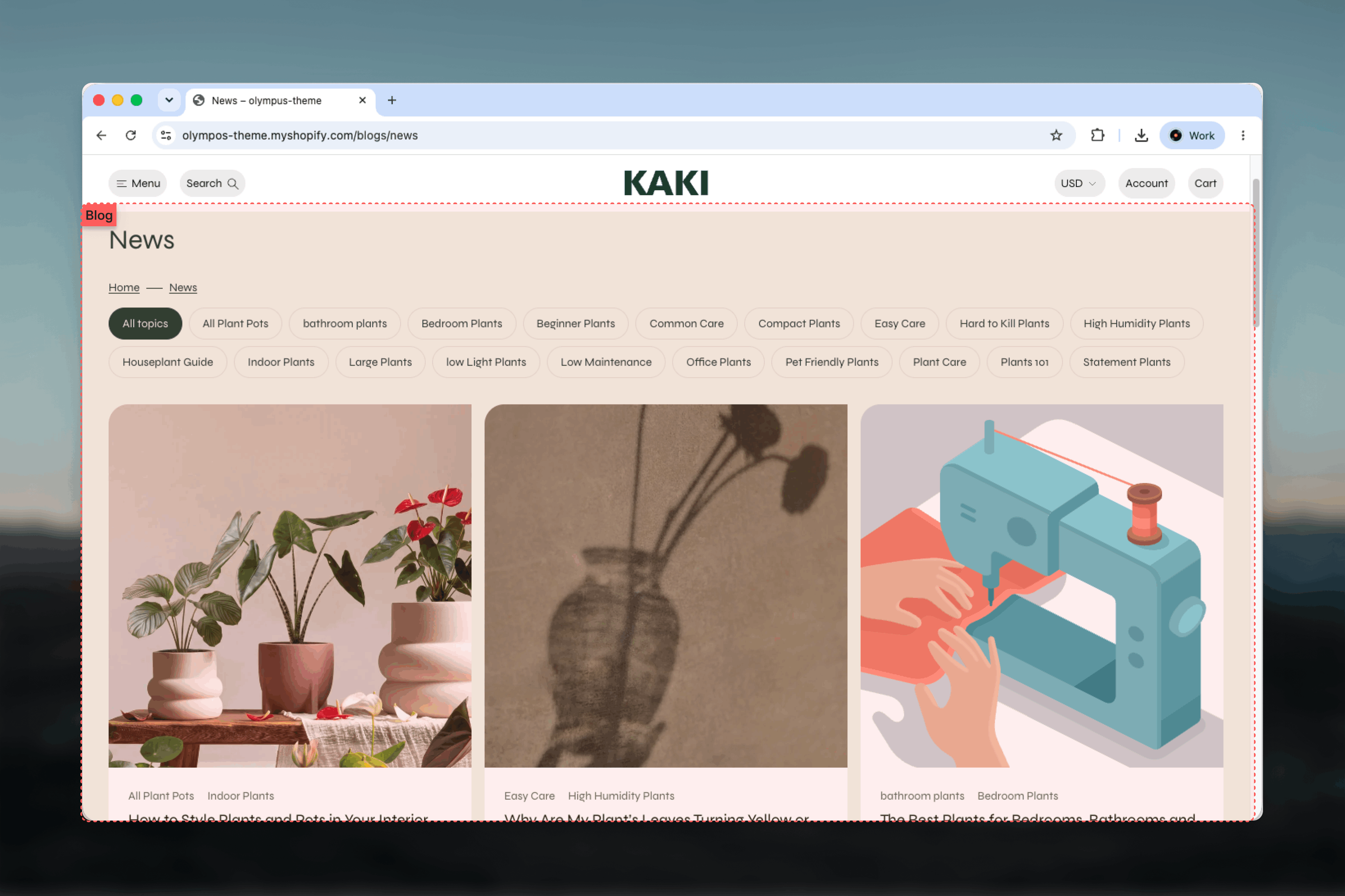 Blog listing page on the storefront with tag filter and a three-column grid of article cards
