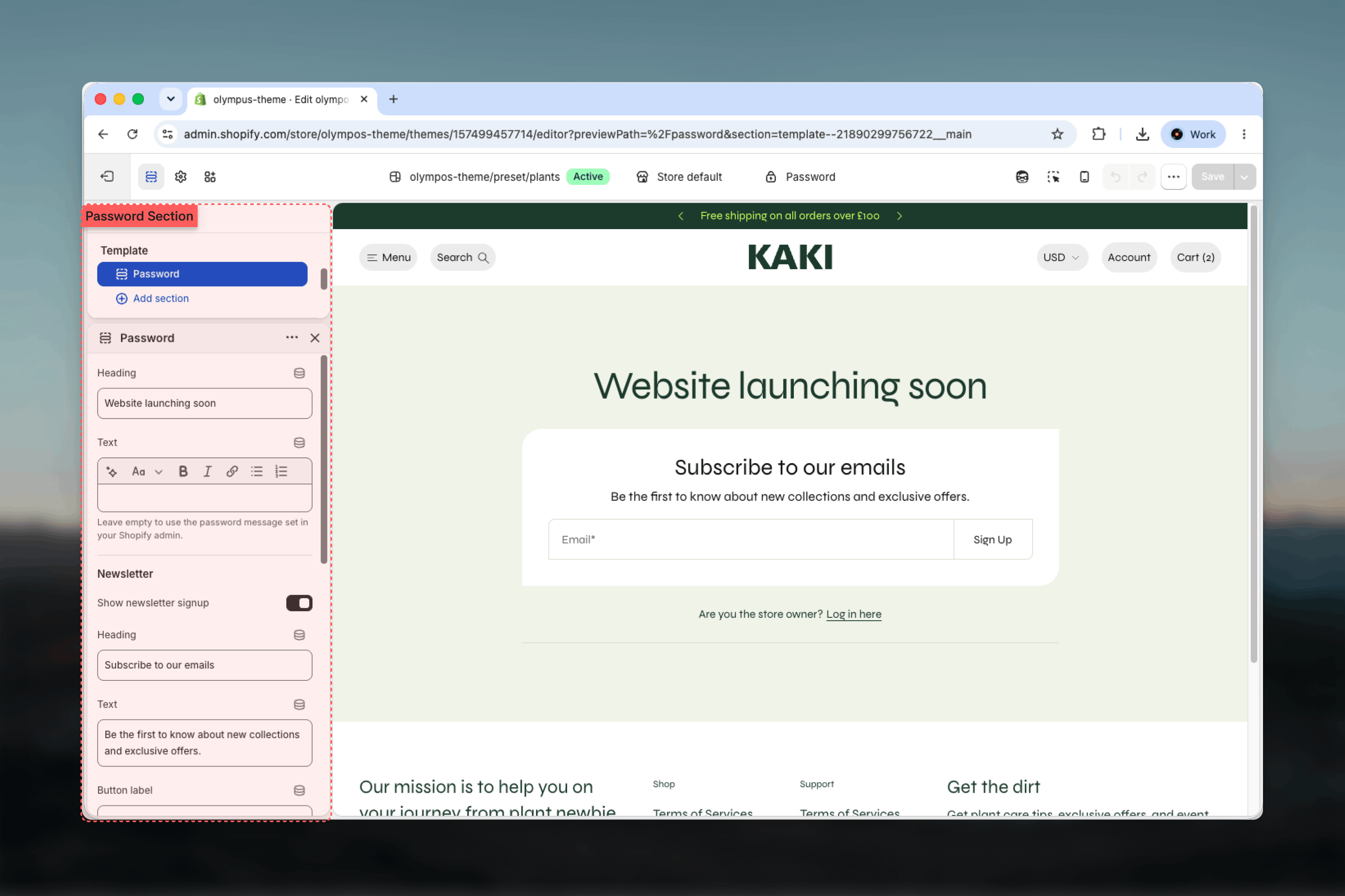 Password section selected in the Theme Customizer sidebar